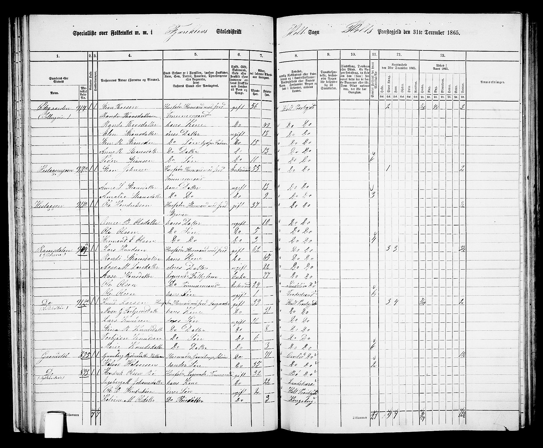 RA, 1865 census for Holt/Holt, 1865, p. 36