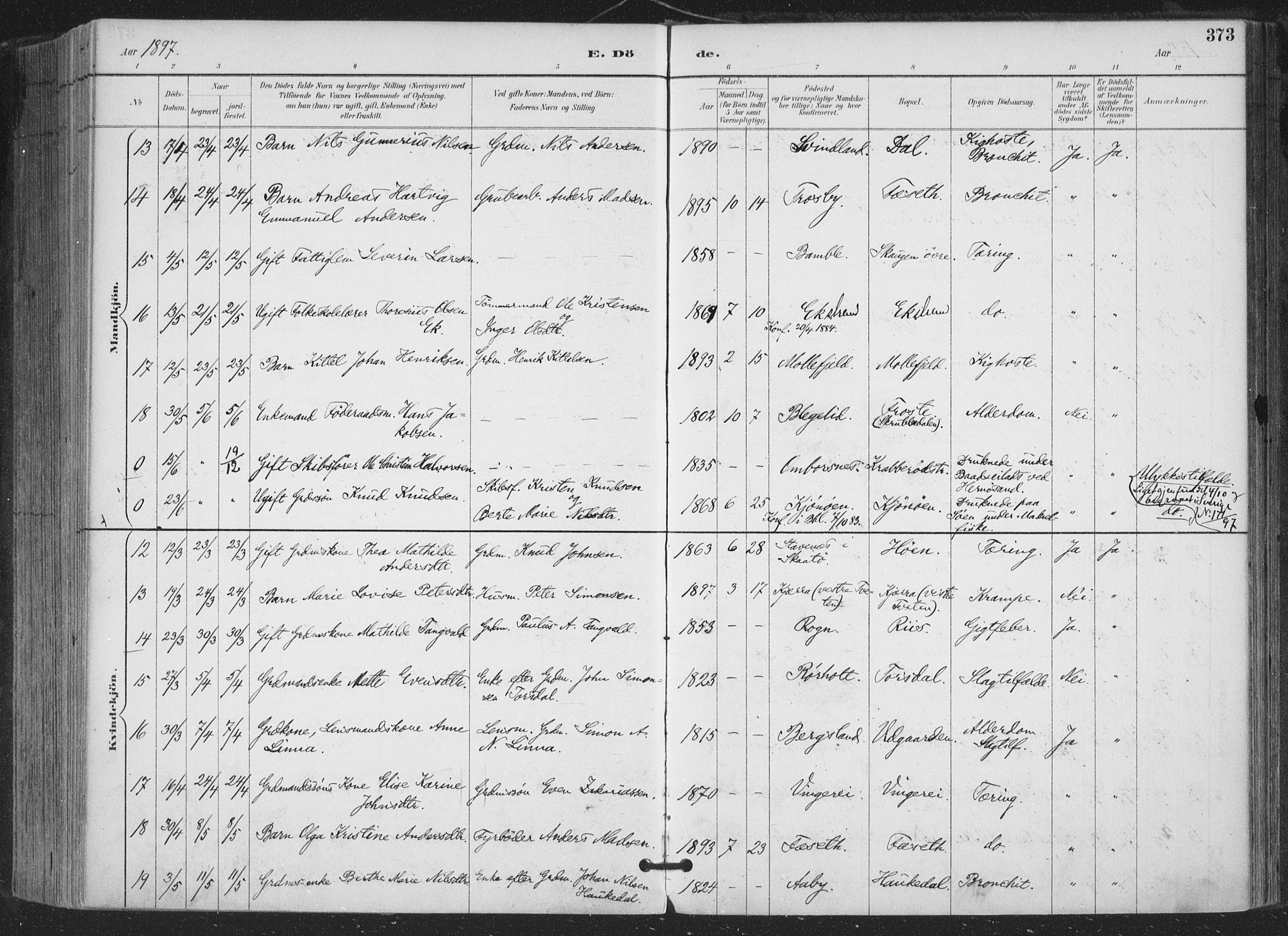 Bamble kirkebøker, AV/SAKO-A-253/F/Fa/L0008: Parish register (official) no. I 8, 1888-1900, p. 373