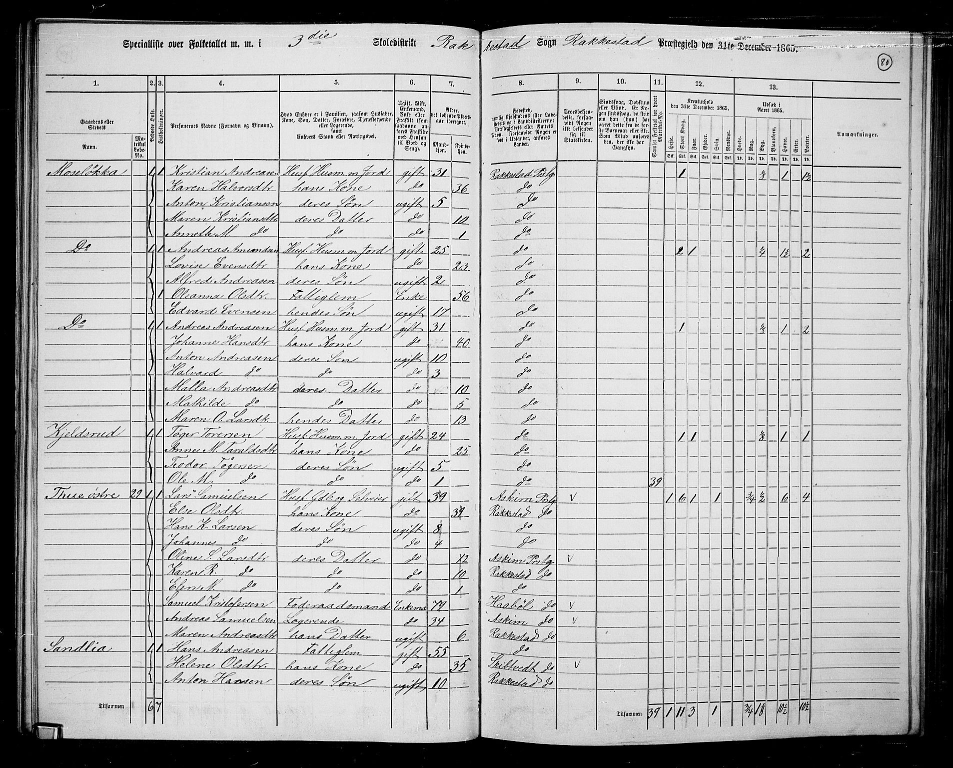RA, 1865 census for Rakkestad, 1865, p. 79