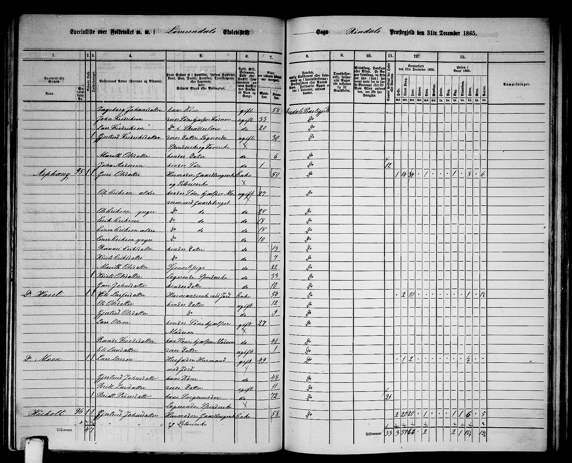 RA, 1865 census for Rindal, 1865, p. 21