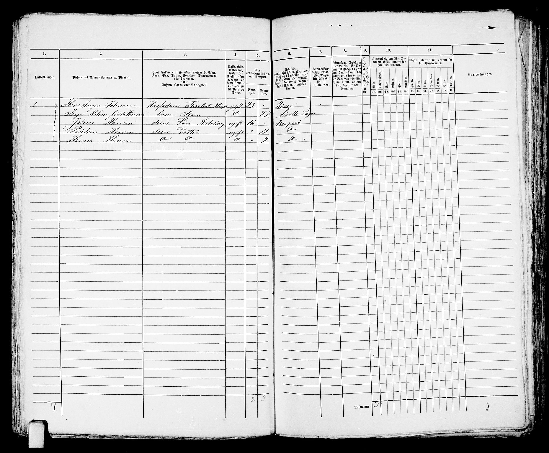 RA, 1865 census for Kragerø/Kragerø, 1865, p. 369