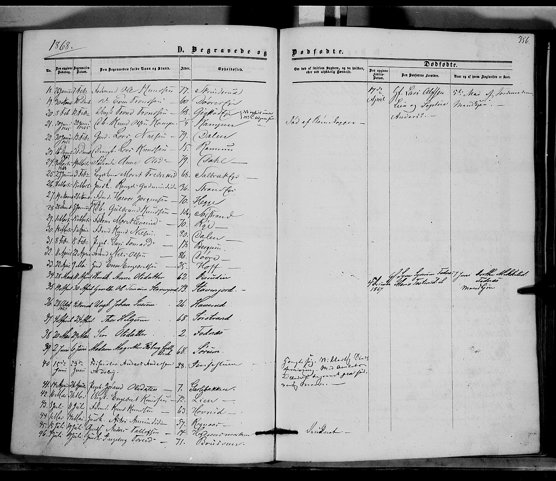Nord-Aurdal prestekontor, SAH/PREST-132/H/Ha/Haa/L0008: Parish register (official) no. 8, 1863-1875, p. 356