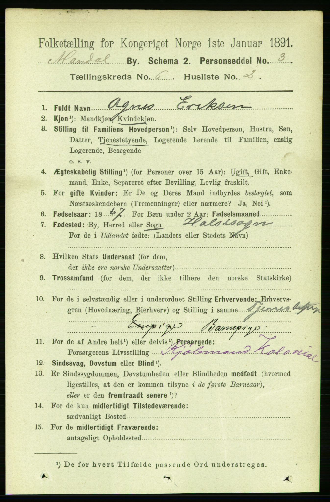 RA, 1891 census for 1002 Mandal, 1891, p. 2059