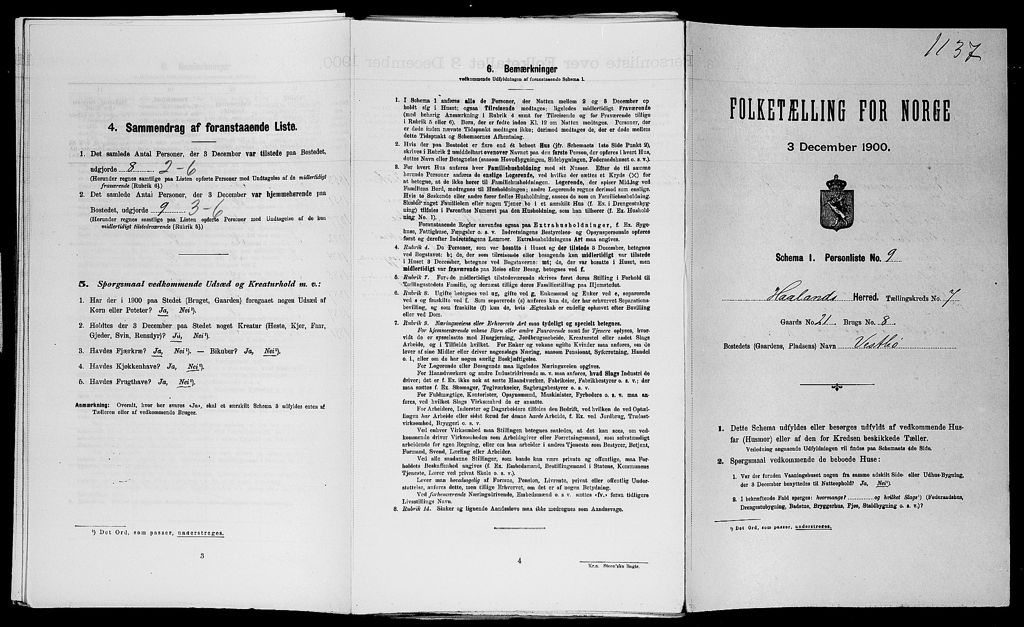 SAST, 1900 census for Haaland, 1900, p. 1073