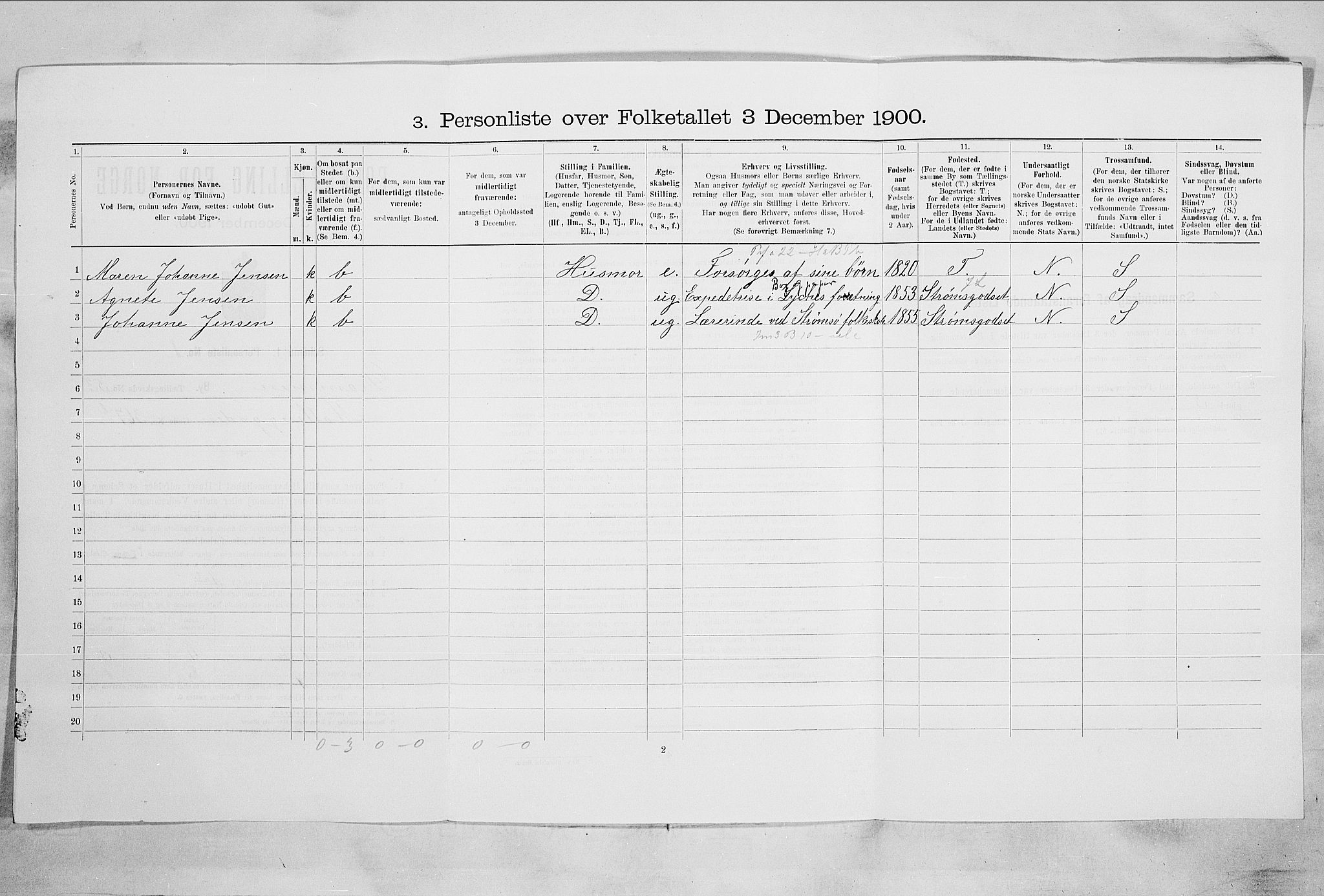 RA, 1900 census for Drammen, 1900, p. 9181