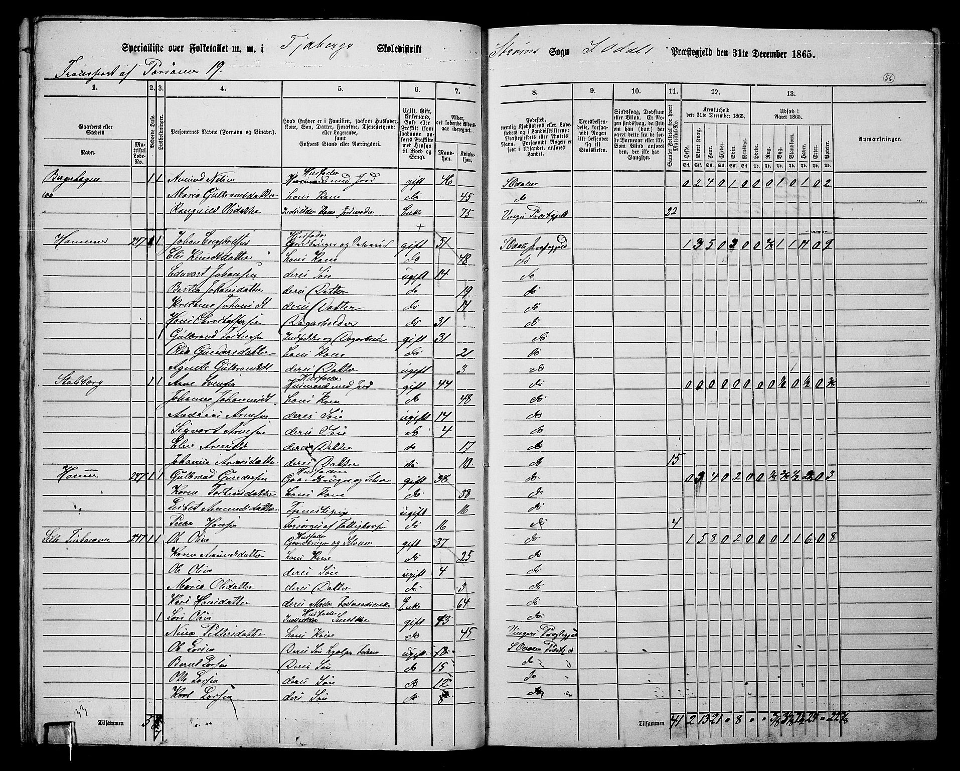 RA, 1865 census for Sør-Odal, 1865, p. 48