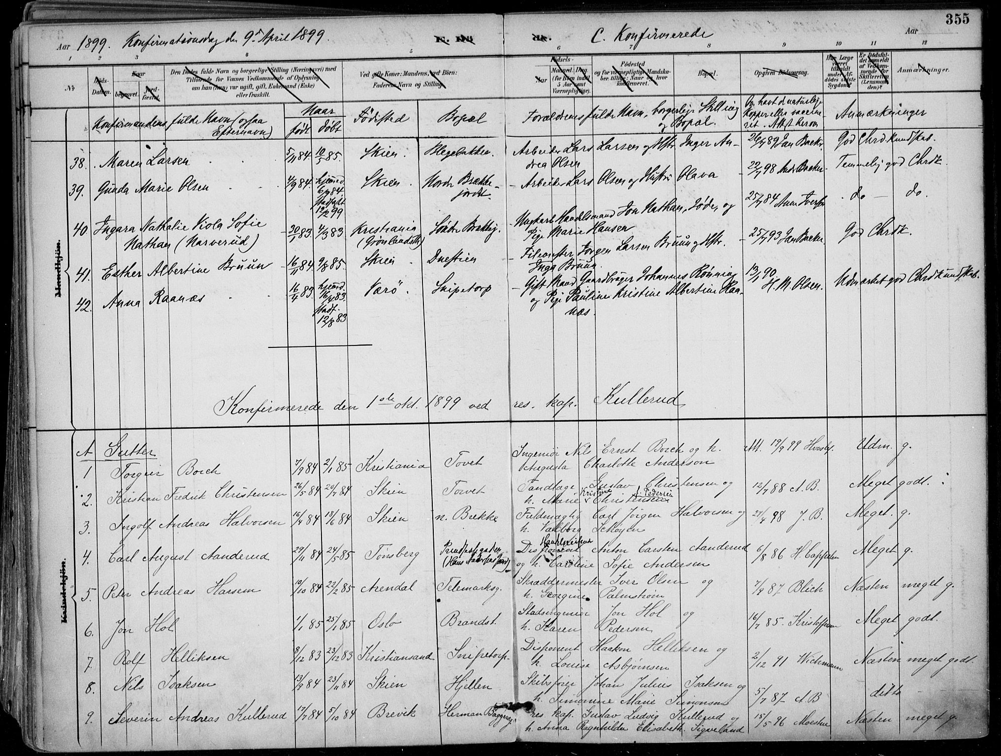 Skien kirkebøker, AV/SAKO-A-302/F/Fa/L0010: Parish register (official) no. 10, 1891-1899, p. 355