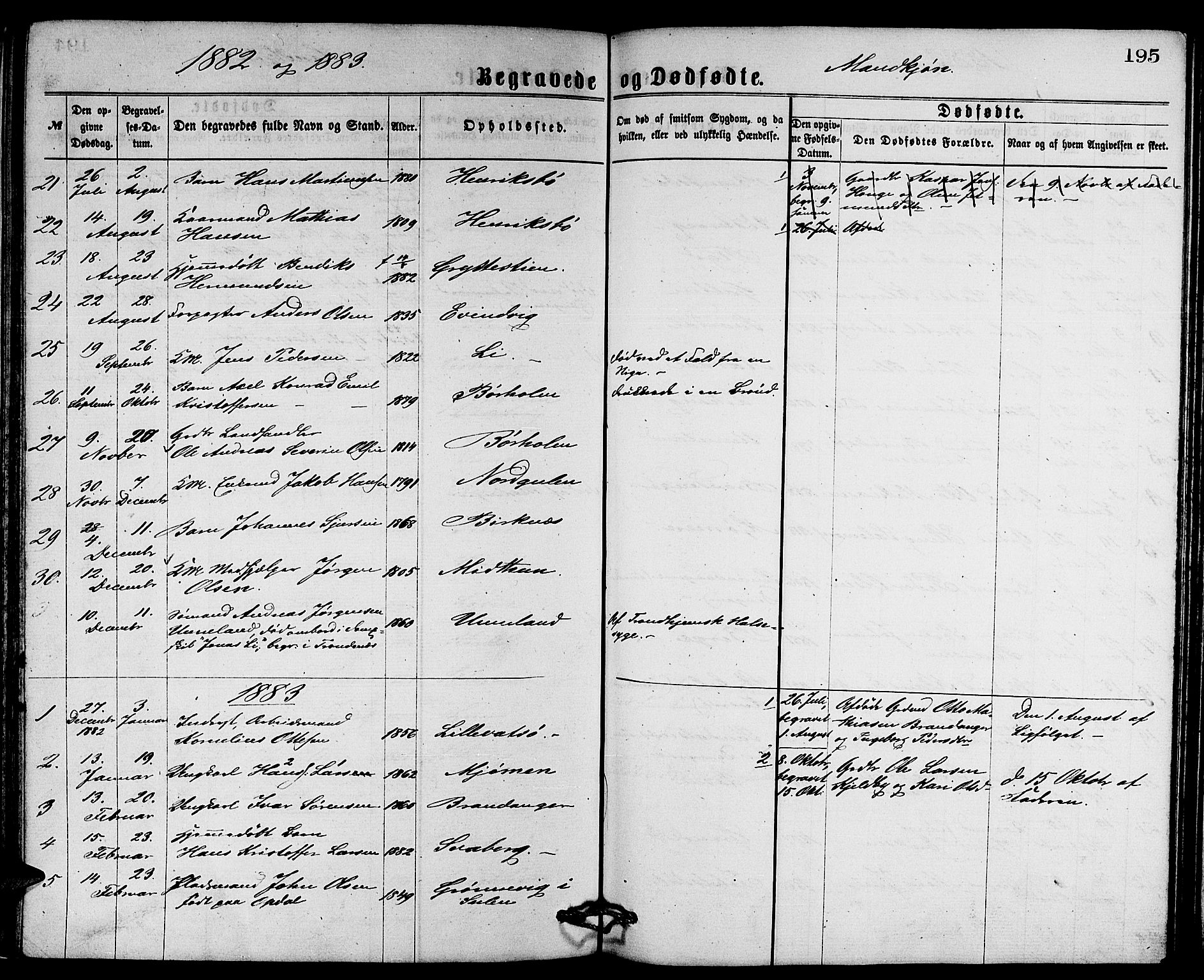 Gulen sokneprestembete, SAB/A-80201/H/Hab/Habb/L0002: Parish register (copy) no. B 2, 1867-1883, p. 195