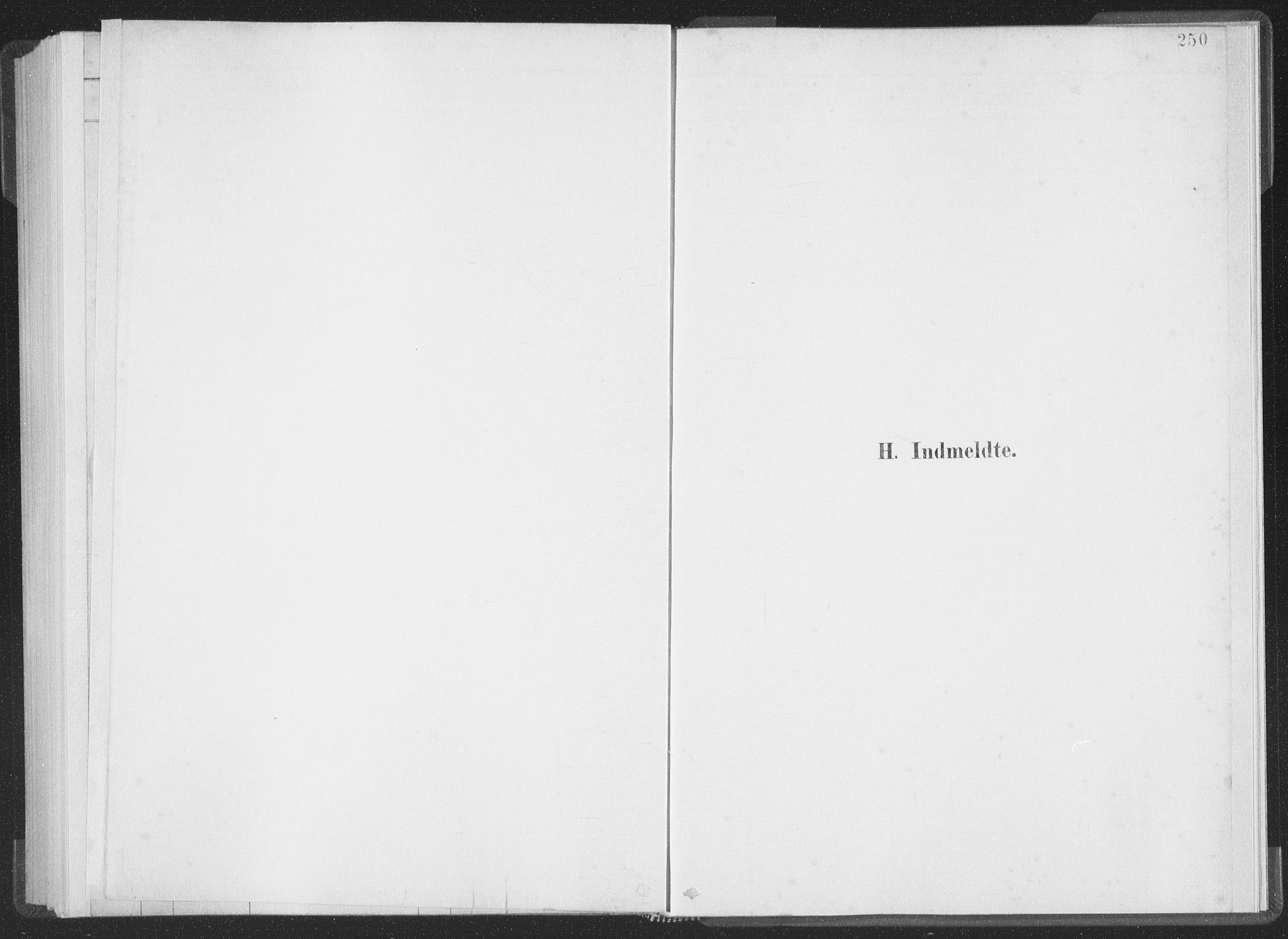 Ministerialprotokoller, klokkerbøker og fødselsregistre - Møre og Romsdal, SAT/A-1454/502/L0025: Parish register (official) no. 502A03, 1885-1909, p. 250