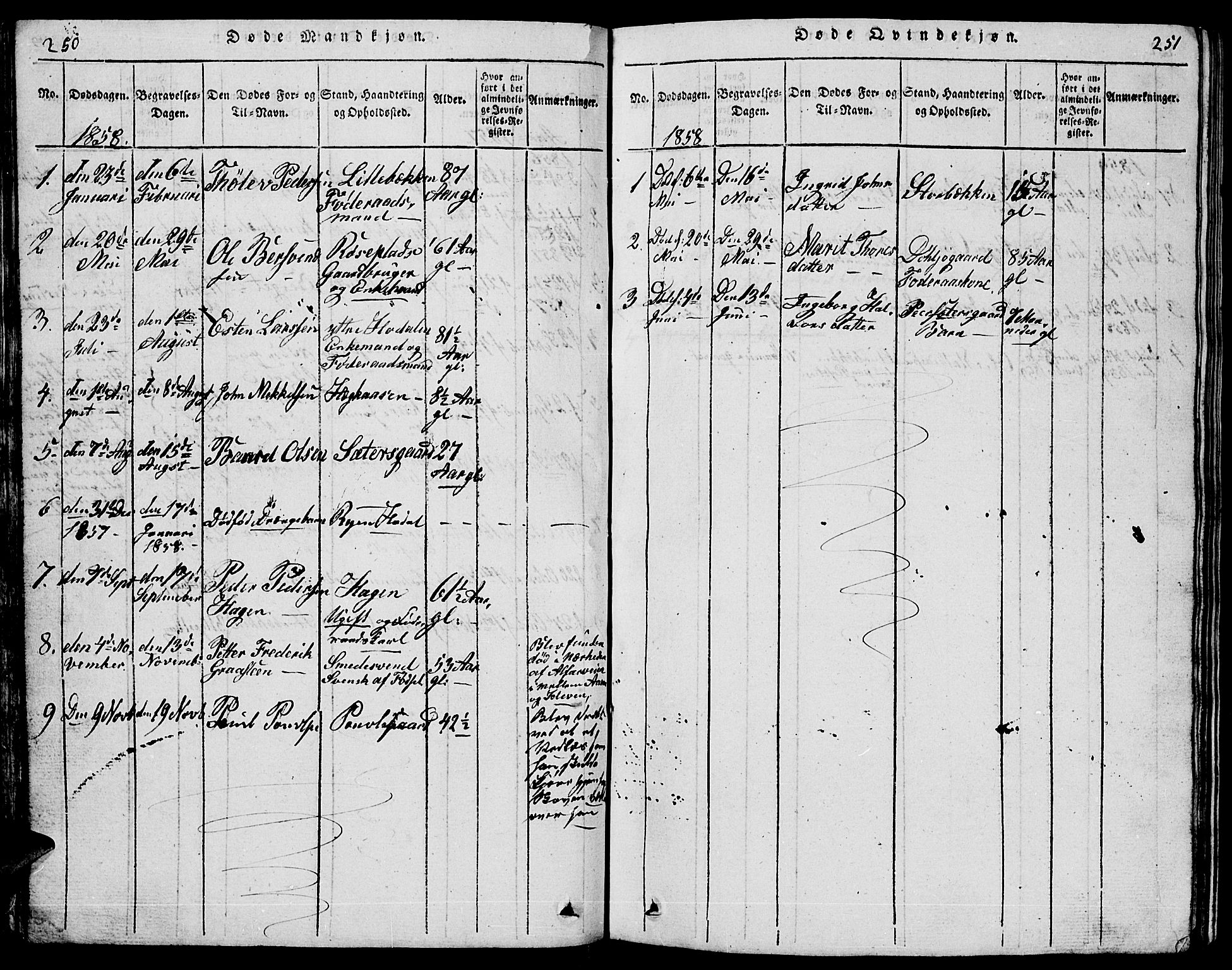 Tolga prestekontor, AV/SAH-PREST-062/L/L0001: Parish register (copy) no. 1, 1814-1877, p. 250-251