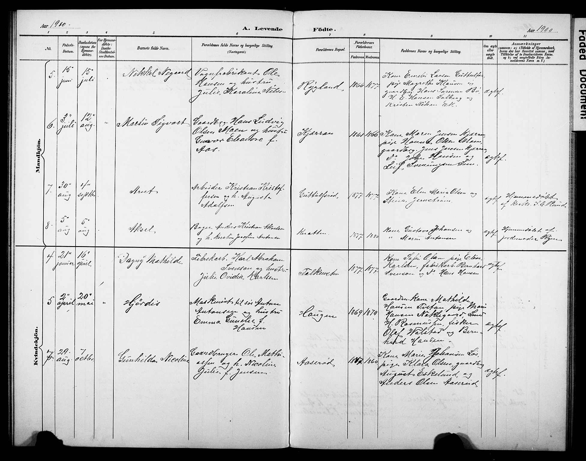 Borre kirkebøker, AV/SAKO-A-338/G/Gb/L0003: Parish register (copy) no. II 3, 1893-1905