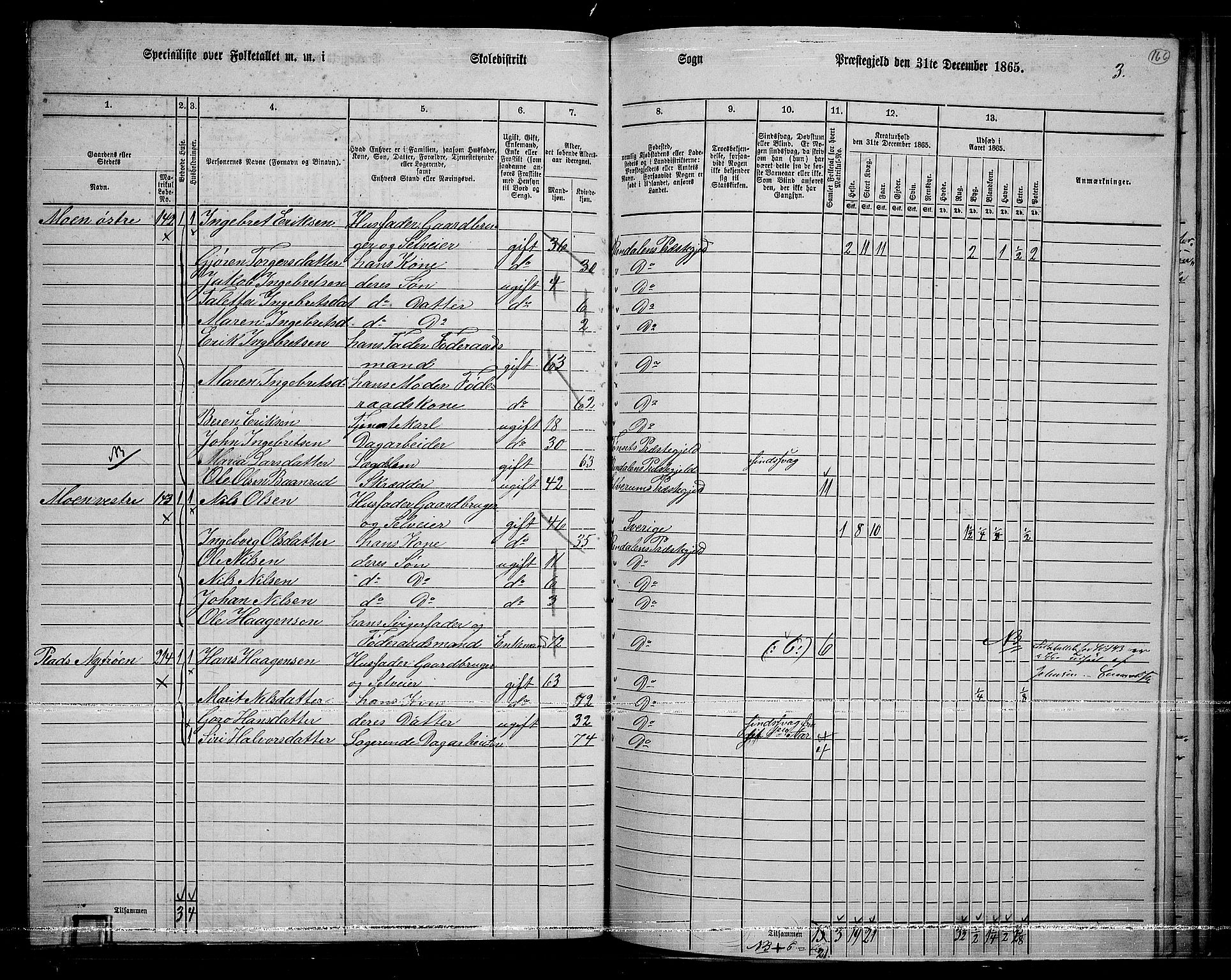 RA, 1865 census for Rendalen, 1865, p. 141