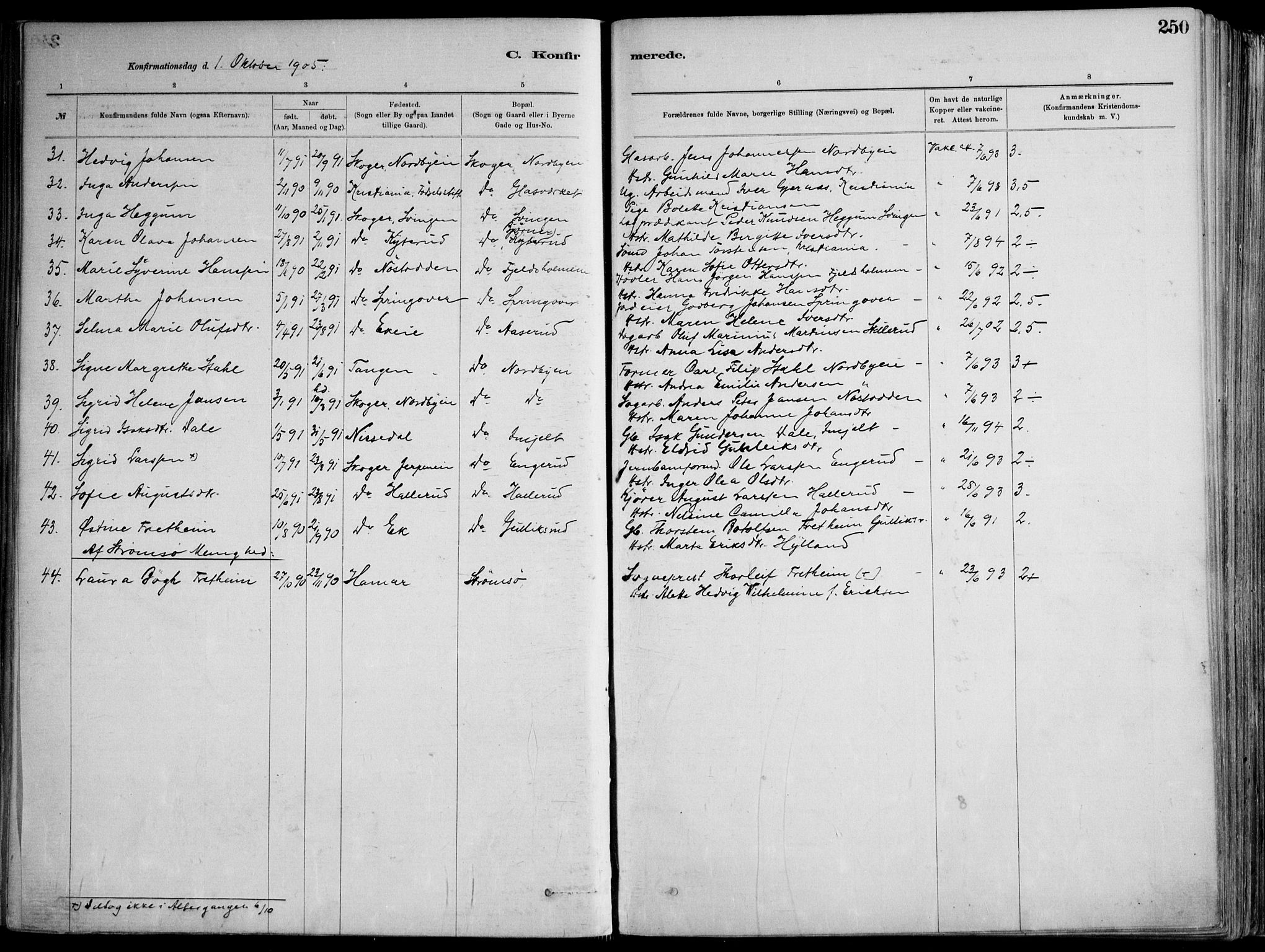 Skoger kirkebøker, AV/SAKO-A-59/F/Fa/L0006: Parish register (official) no. I 6, 1885-1910, p. 250