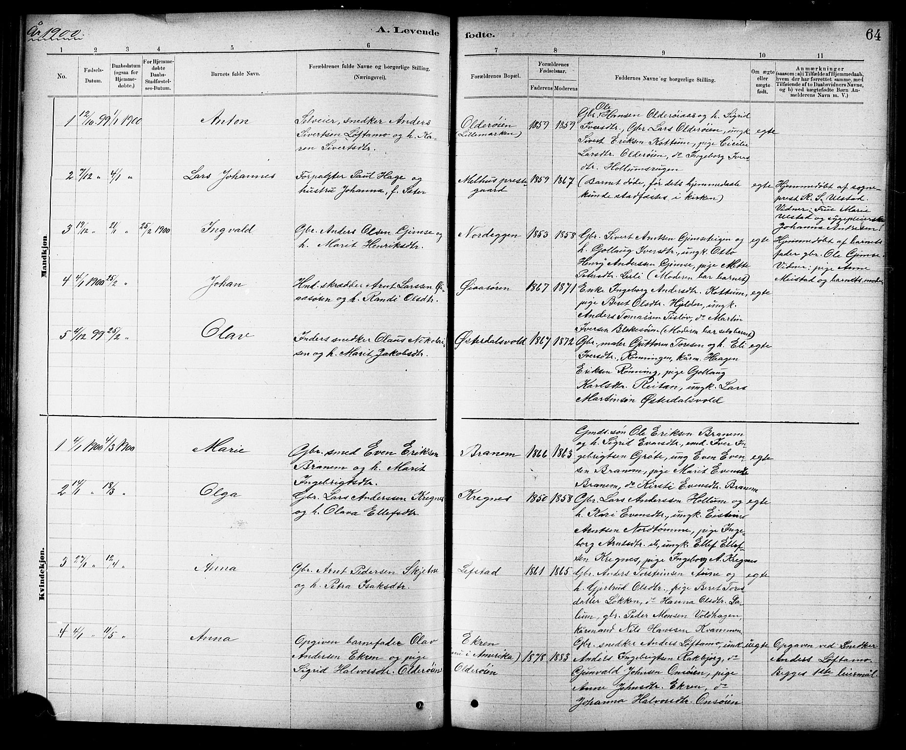Ministerialprotokoller, klokkerbøker og fødselsregistre - Sør-Trøndelag, SAT/A-1456/691/L1094: Parish register (copy) no. 691C05, 1879-1911, p. 64
