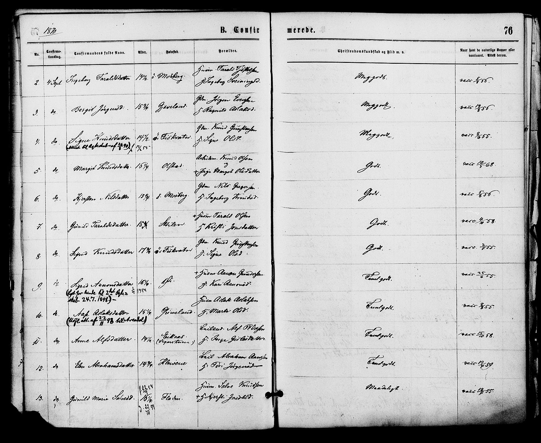 Åmli sokneprestkontor, AV/SAK-1111-0050/F/Fa/Fac/L0009: Parish register (official) no. A 9 /1, 1869-1884, p. 76