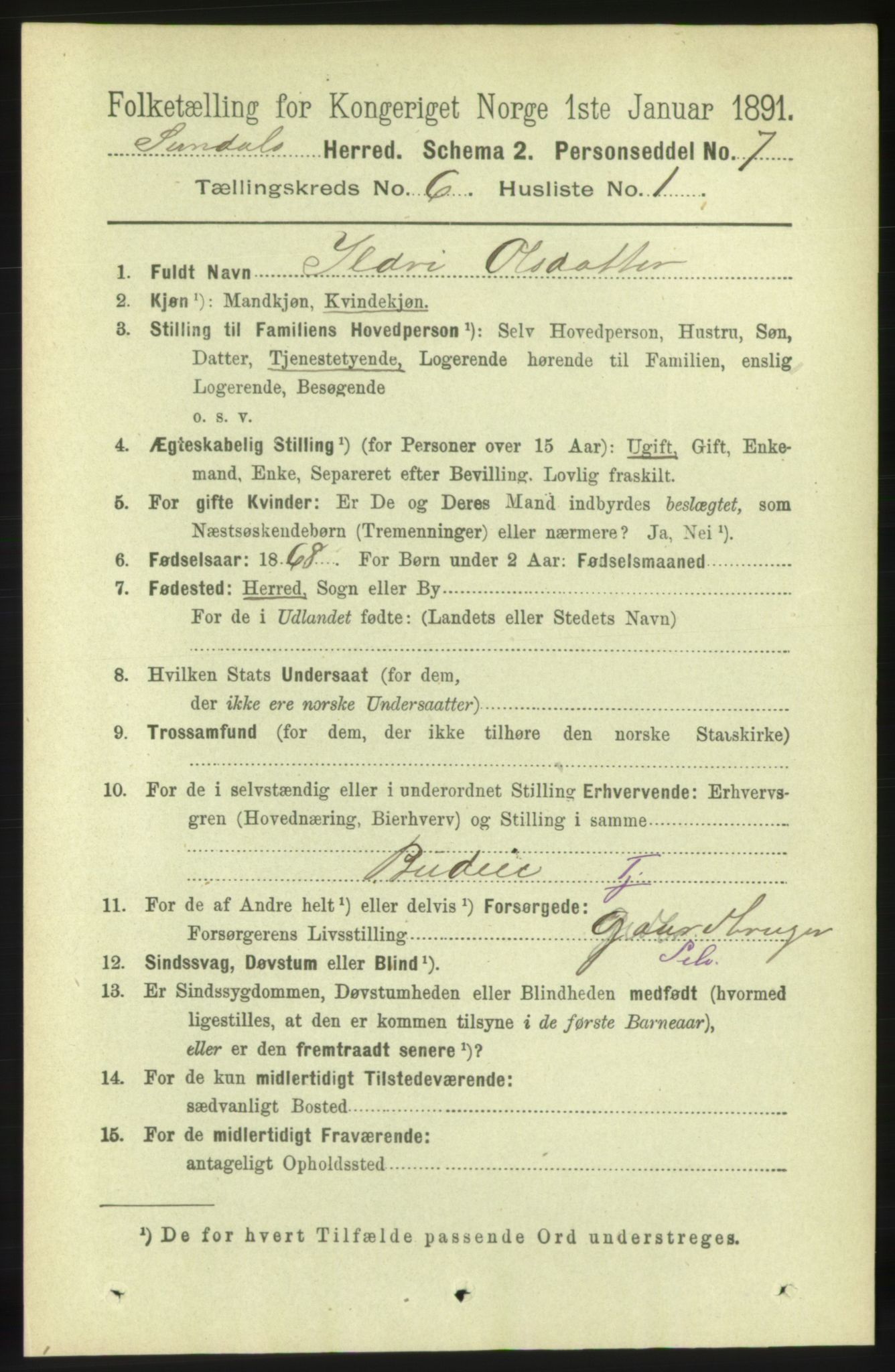 RA, 1891 census for 1563 Sunndal, 1891, p. 1581