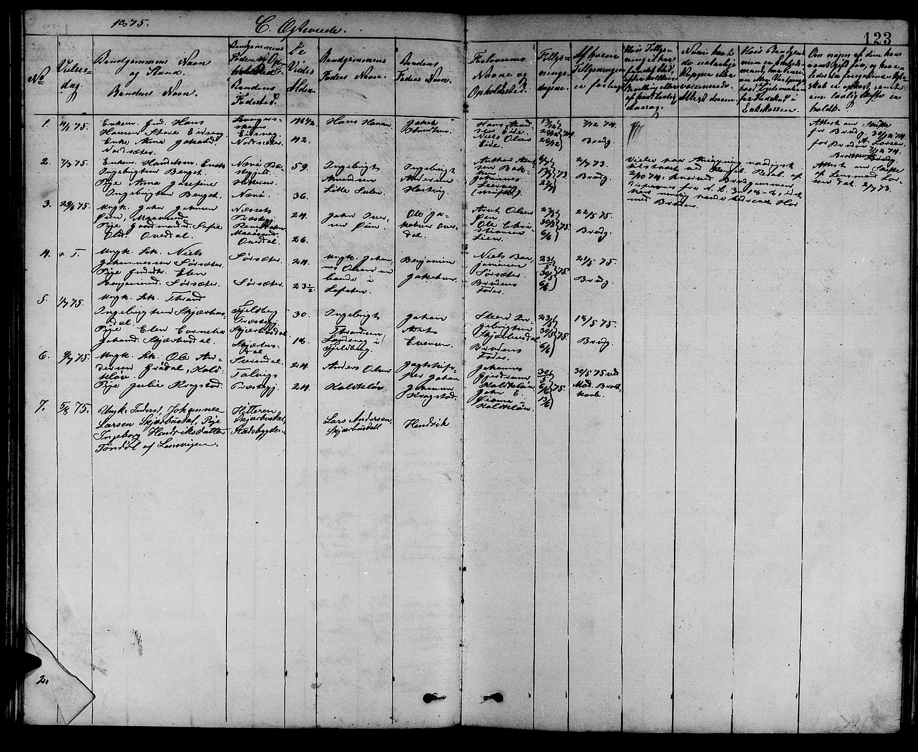 Ministerialprotokoller, klokkerbøker og fødselsregistre - Sør-Trøndelag, SAT/A-1456/637/L0561: Parish register (copy) no. 637C02, 1873-1882, p. 123