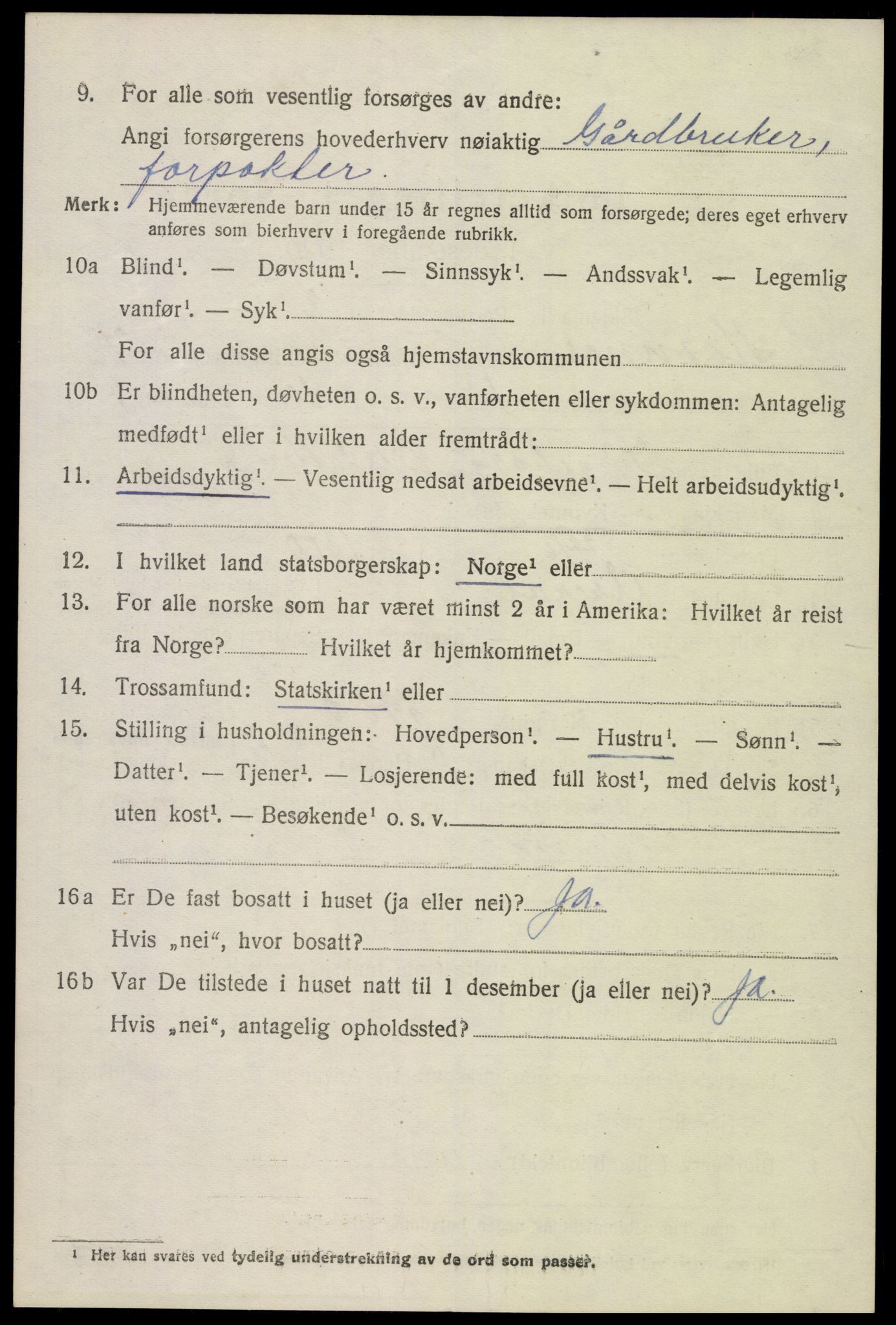 SAK, 1920 census for Hornnes, 1920, p. 1650