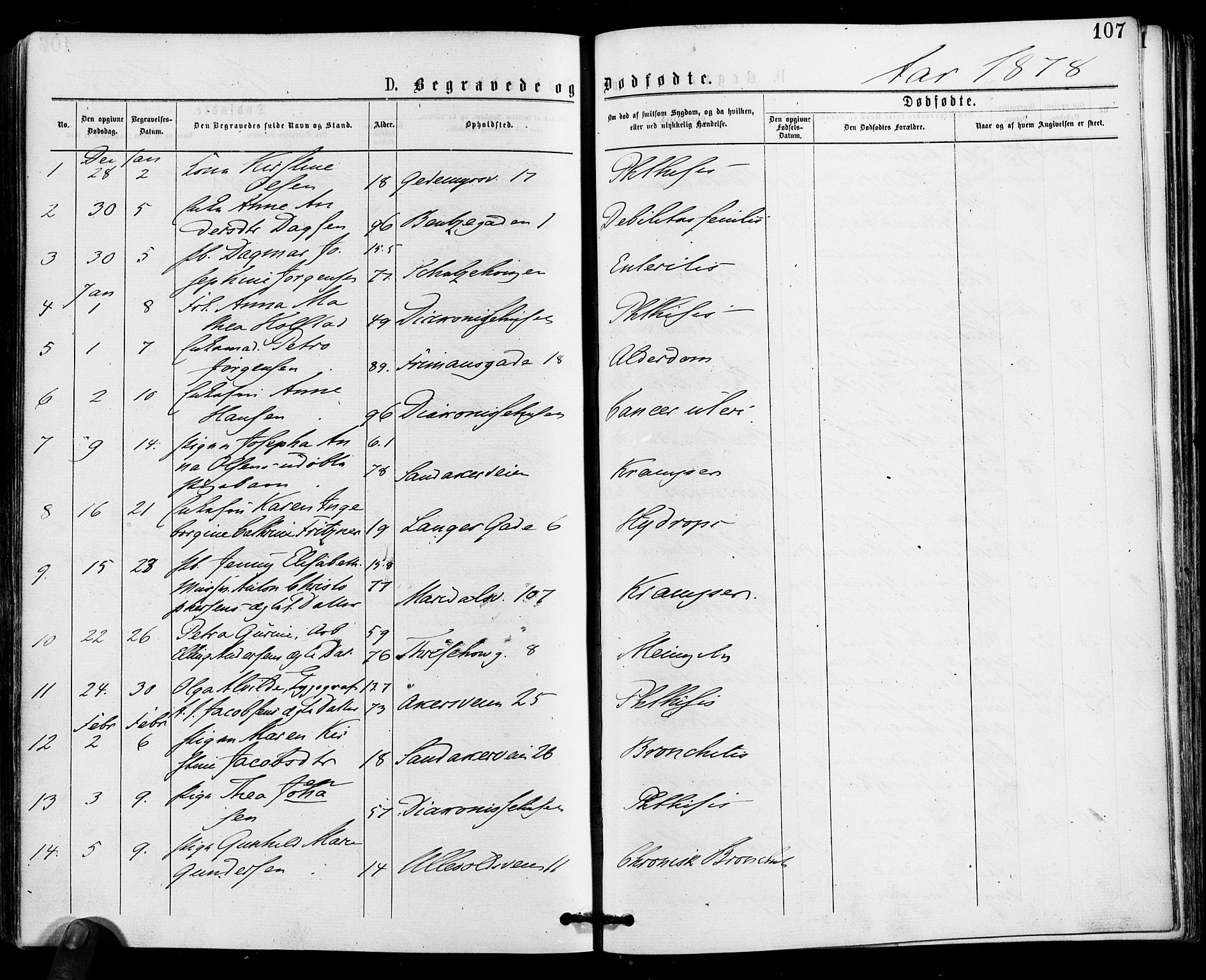 Gamle Aker prestekontor Kirkebøker, AV/SAO-A-10617a/F/L0004: Parish register (official) no. 4, 1872-1879, p. 107