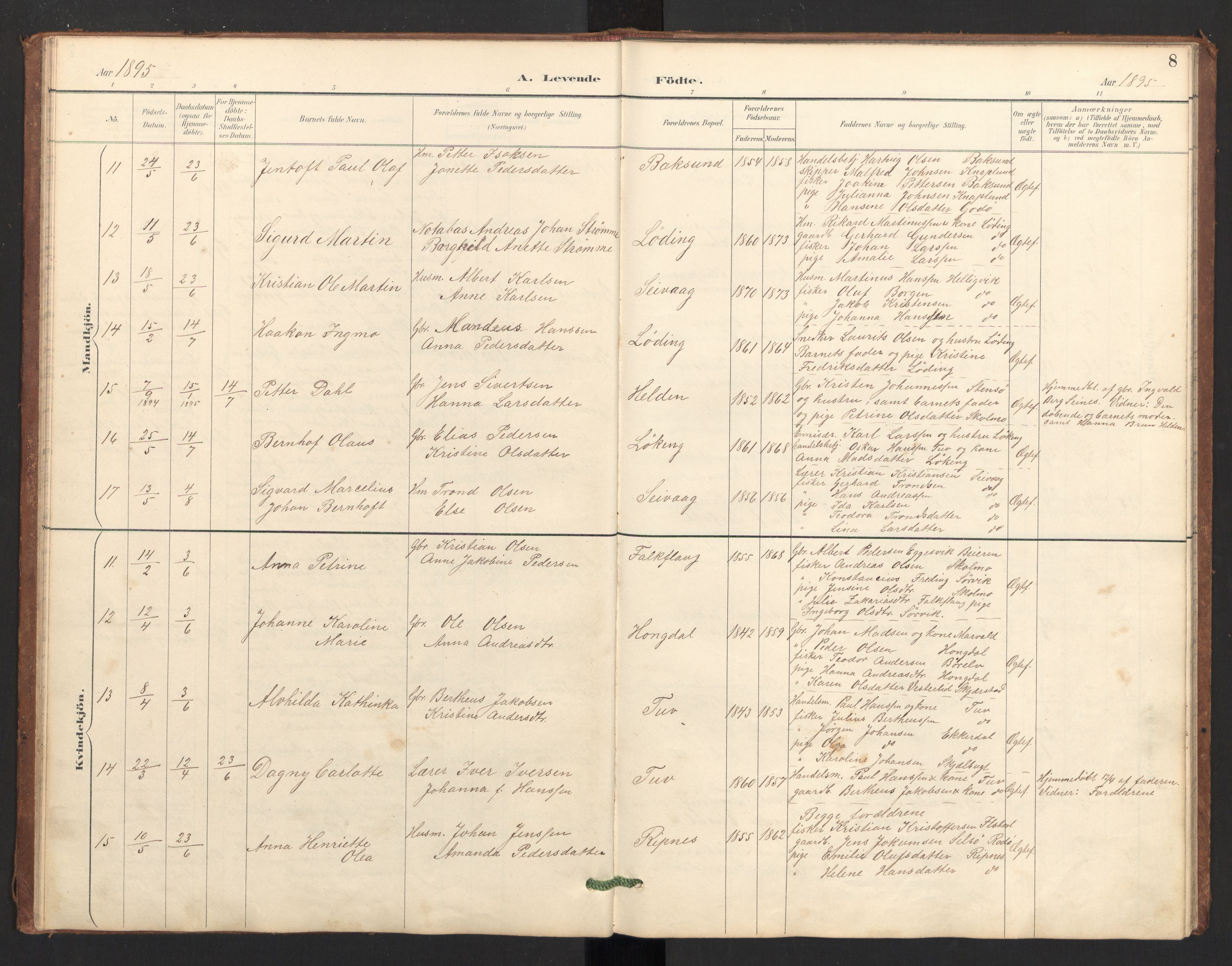 Ministerialprotokoller, klokkerbøker og fødselsregistre - Nordland, AV/SAT-A-1459/804/L0087: Parish register (official) no. 804A08, 1894-1907, p. 8