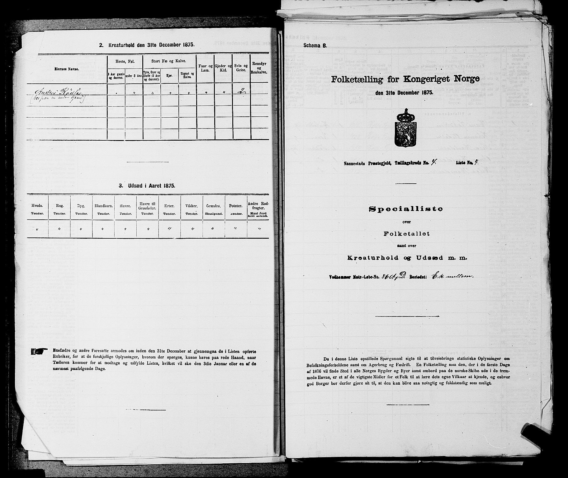 RA, 1875 census for 0238P Nannestad, 1875, p. 571