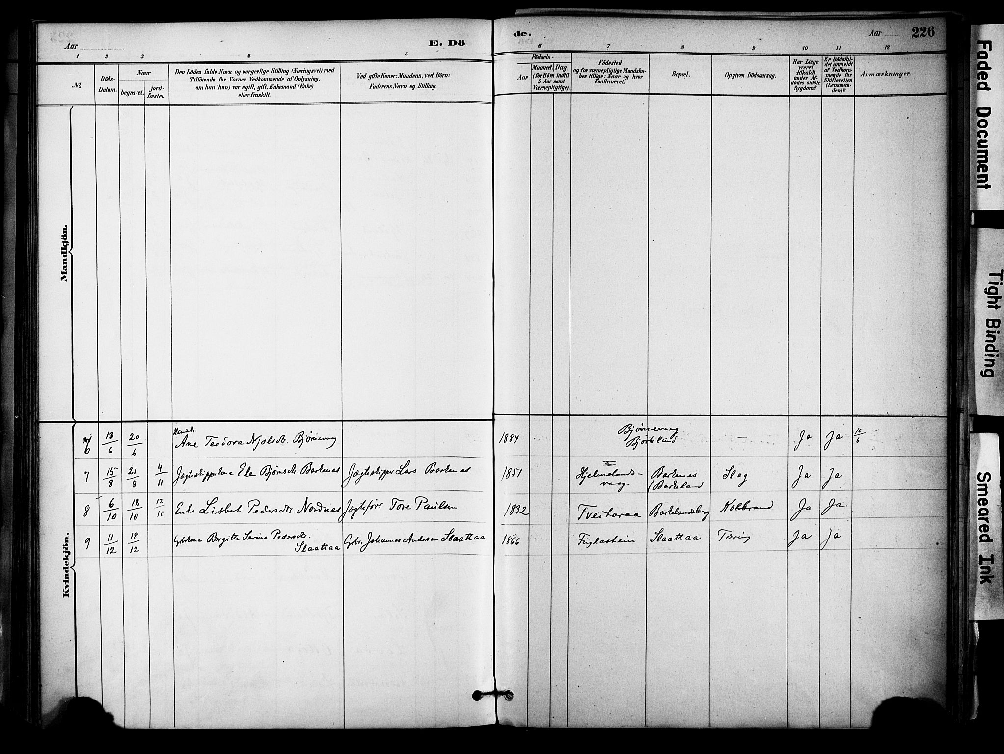 Jelsa sokneprestkontor, AV/SAST-A-101842/01/IV: Parish register (official) no. A 10, 1884-1906, p. 226