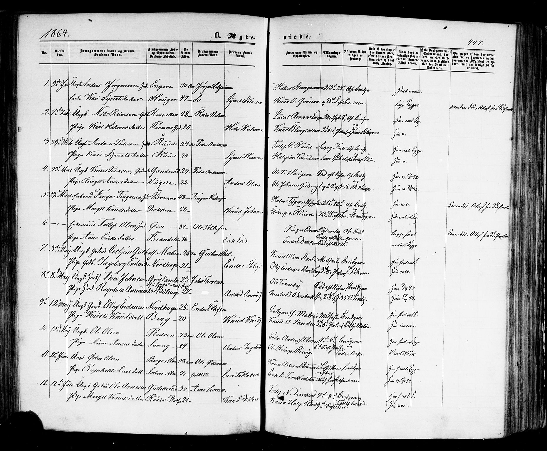 Nes kirkebøker, SAKO/A-236/F/Fa/L0010: Parish register (official) no. 10, 1864-1880, p. 447