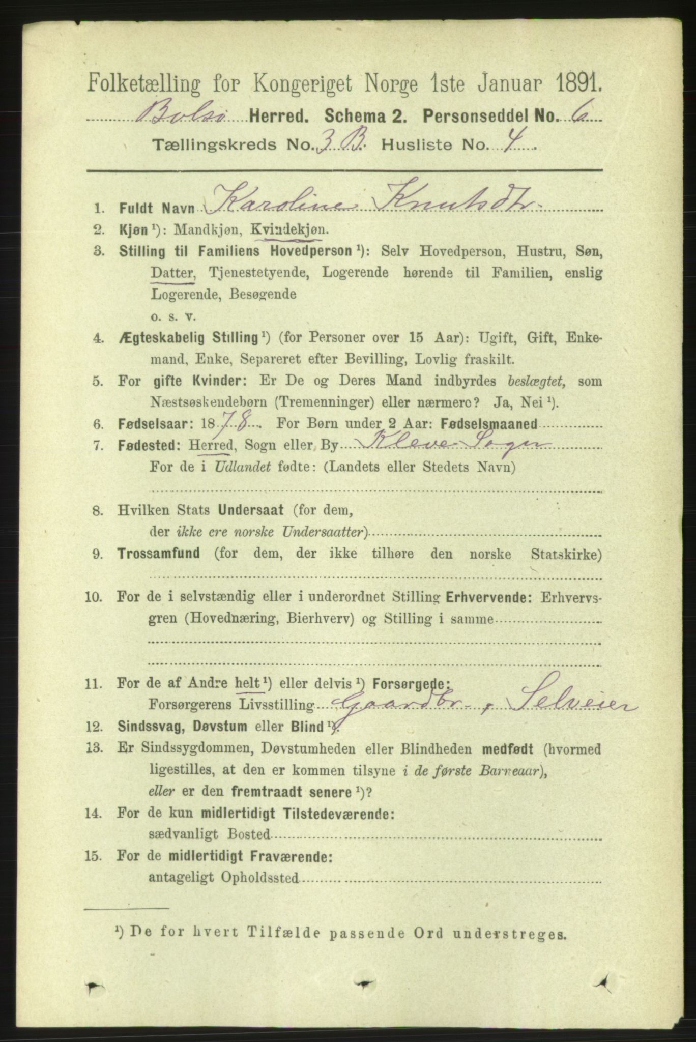 RA, 1891 census for 1544 Bolsøy, 1891, p. 2111