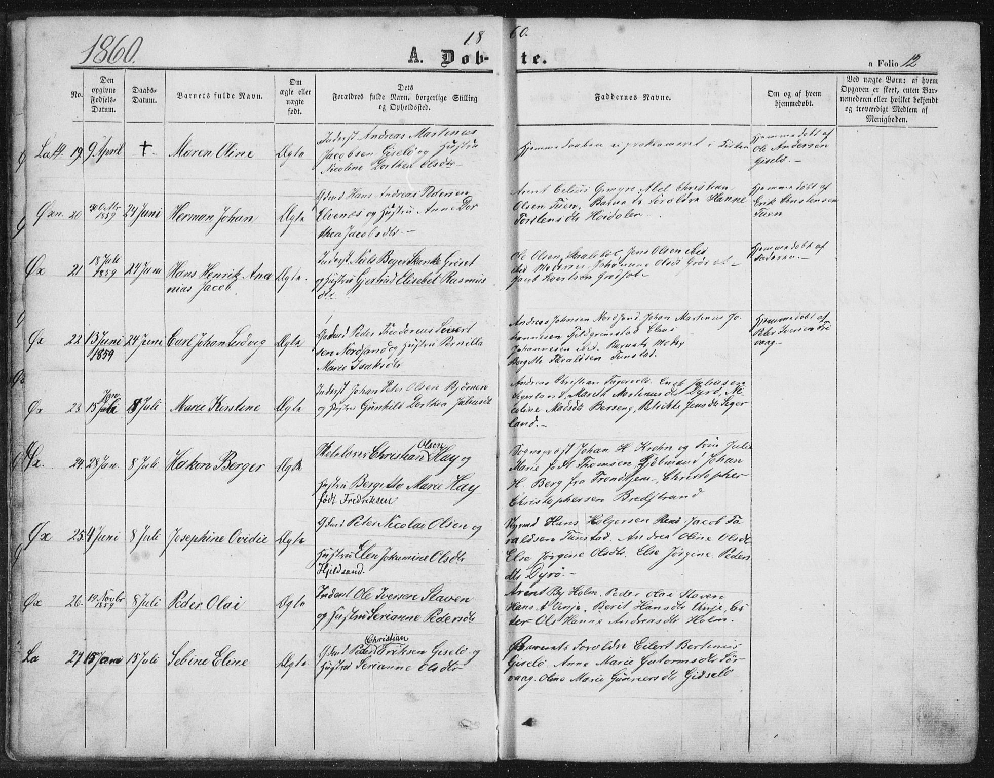 Ministerialprotokoller, klokkerbøker og fødselsregistre - Nordland, AV/SAT-A-1459/893/L1333: Parish register (official) no. 893A06, 1858-1866, p. 12