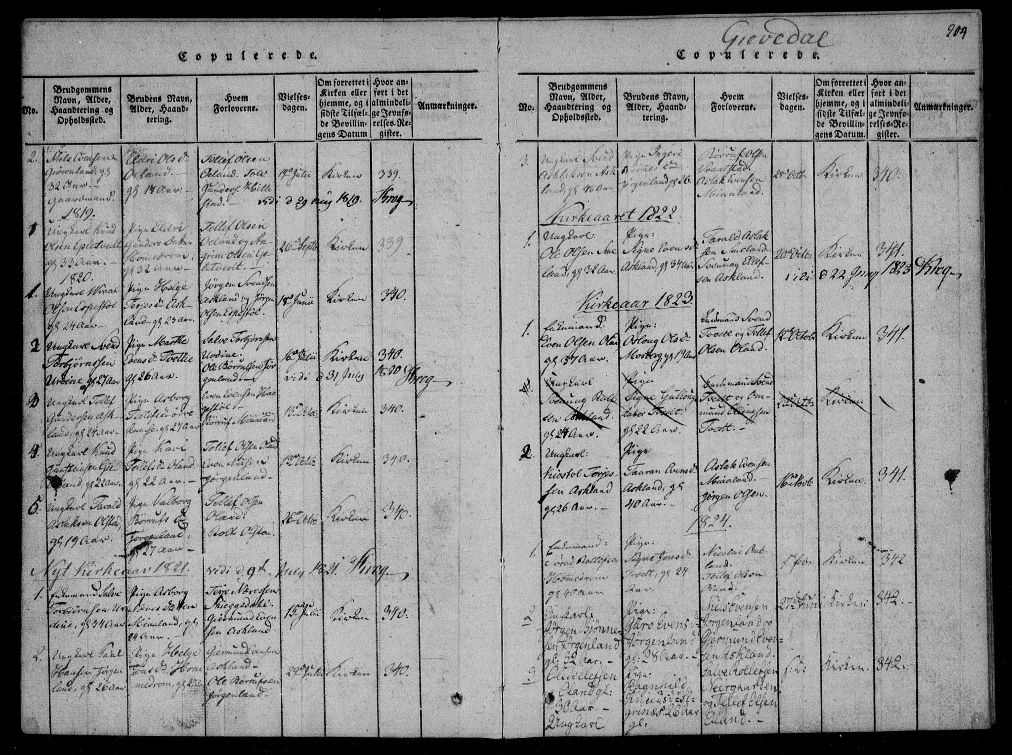 Åmli sokneprestkontor, AV/SAK-1111-0050/F/Fa/Fac/L0006: Parish register (official) no. A 6, 1816-1829, p. 204