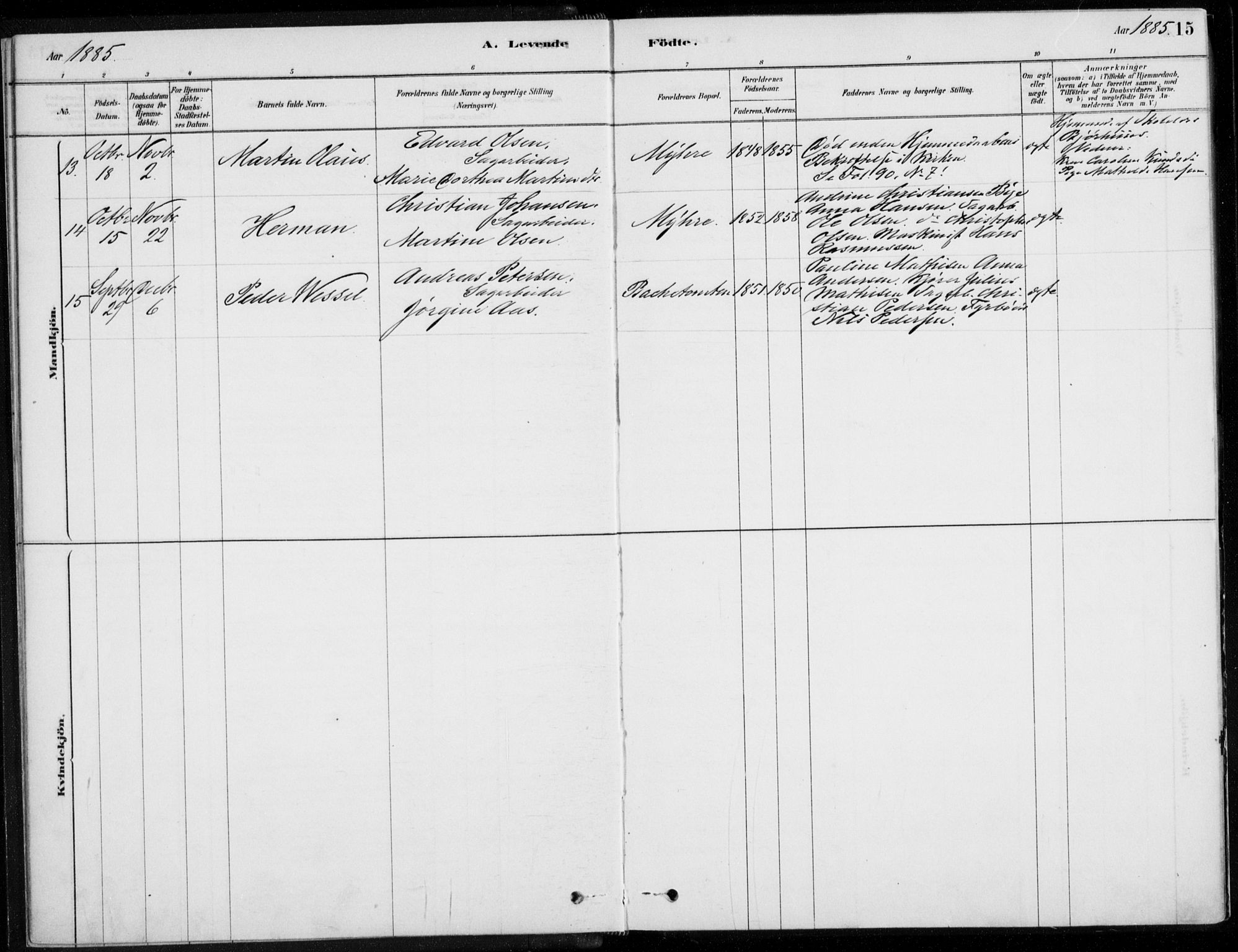 Åssiden kirkebøker, SAKO/A-251/F/Fa/L0001: Parish register (official) no. 1, 1878-1904, p. 15