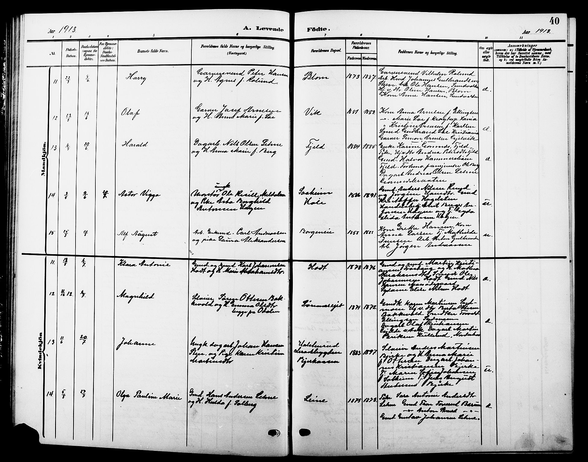 Hole kirkebøker, AV/SAKO-A-228/G/Ga/L0004: Parish register (copy) no. I 4, 1905-1924, p. 40