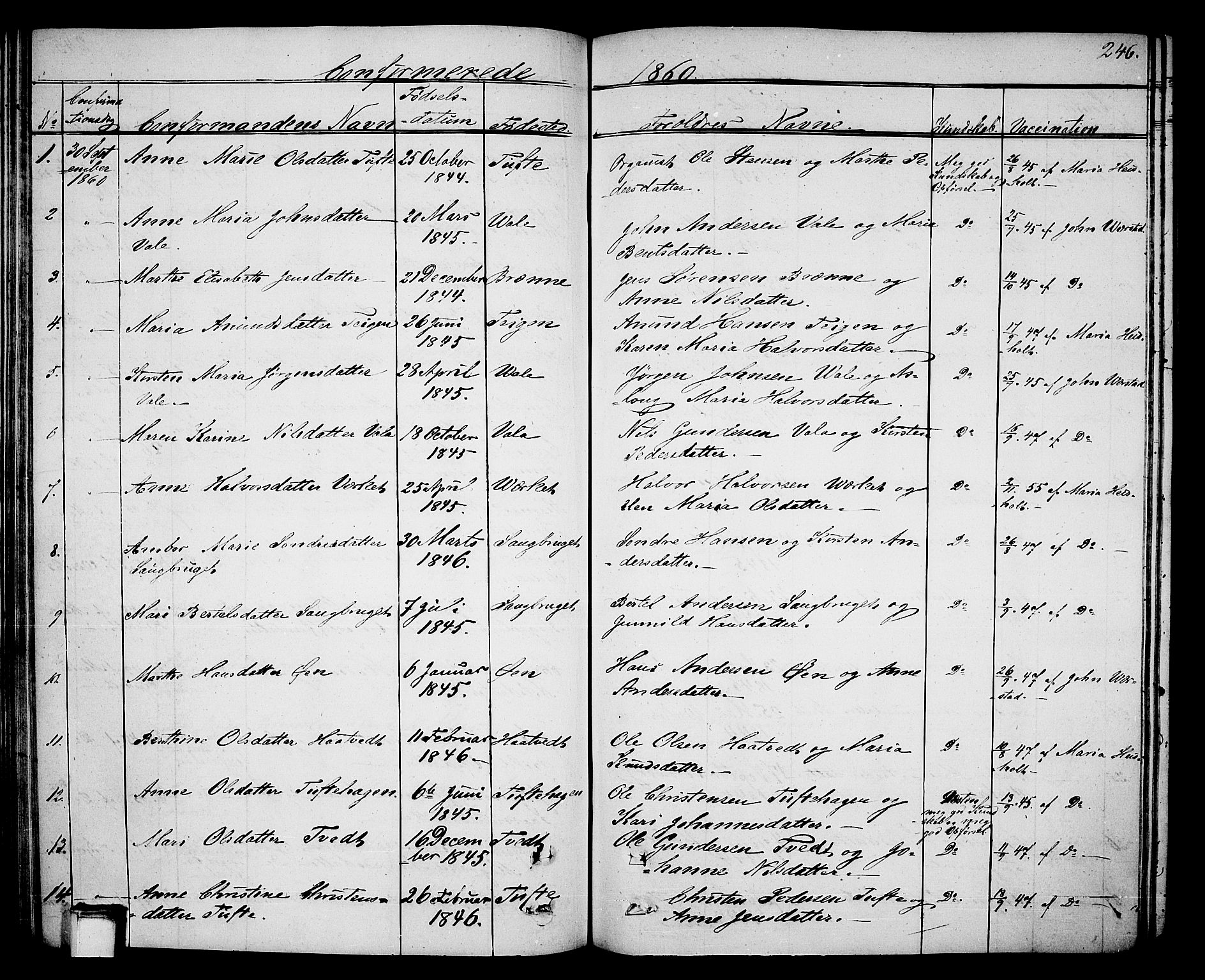 Holla kirkebøker, AV/SAKO-A-272/G/Ga/L0003: Parish register (copy) no. I 3, 1849-1866, p. 246