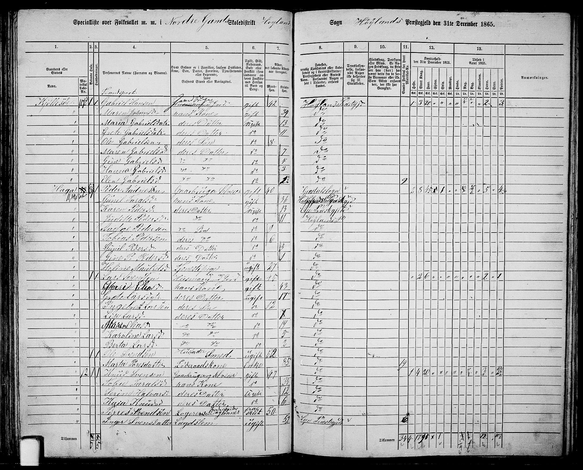 RA, 1865 census for Høyland, 1865, p. 91