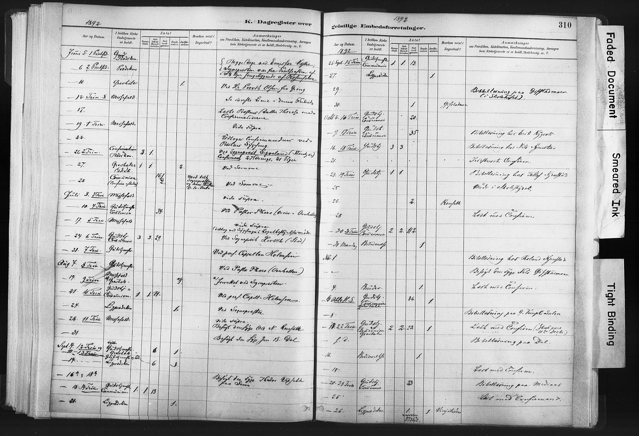 Ministerialprotokoller, klokkerbøker og fødselsregistre - Nord-Trøndelag, AV/SAT-A-1458/749/L0474: Parish register (official) no. 749A08, 1887-1903, p. 310