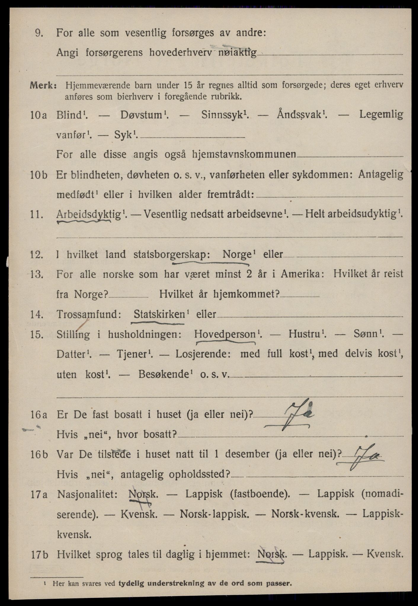 SAT, 1920 census for Strinda, 1920, p. 22213