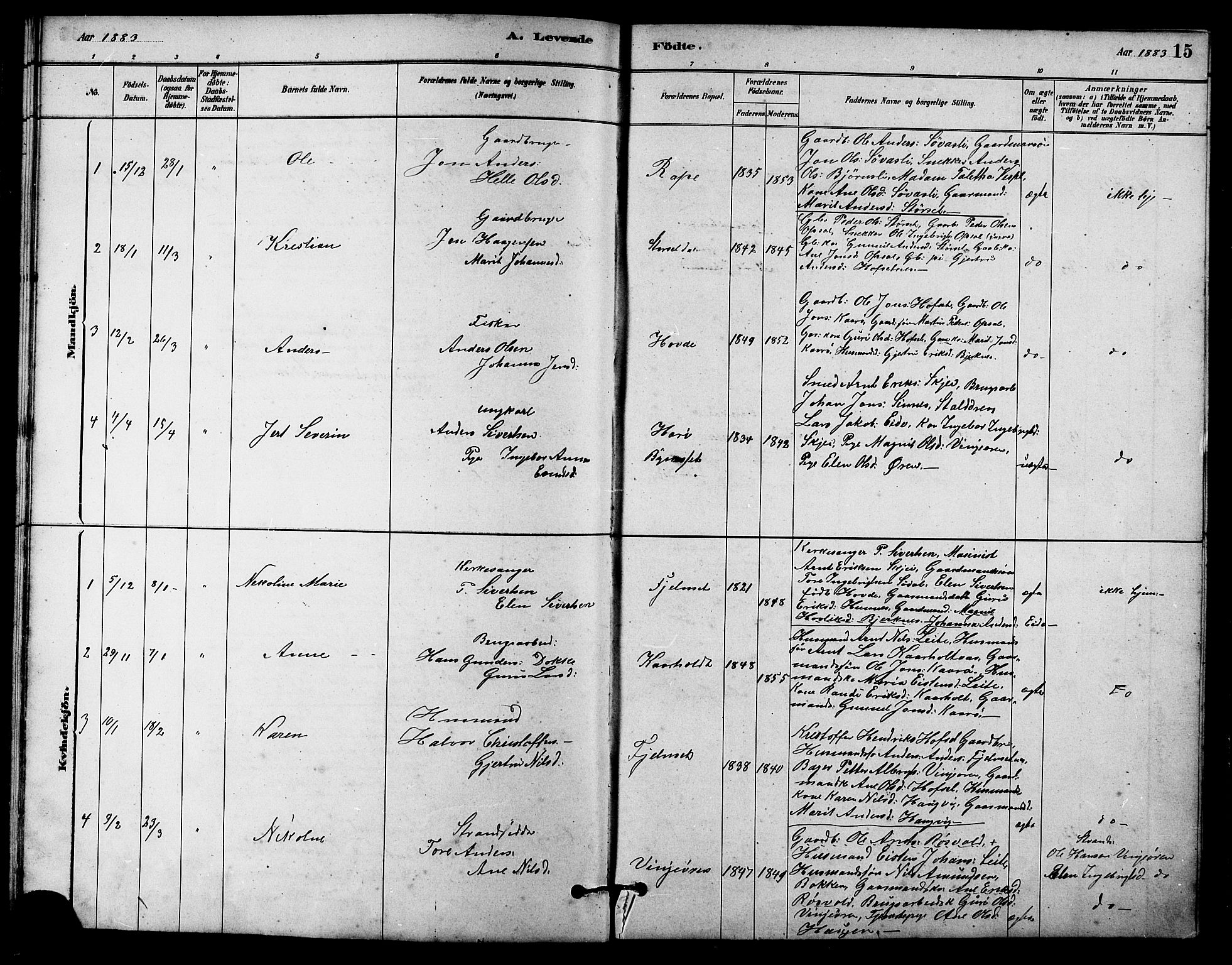 Ministerialprotokoller, klokkerbøker og fødselsregistre - Sør-Trøndelag, SAT/A-1456/631/L0514: Parish register (copy) no. 631C02, 1879-1912, p. 15