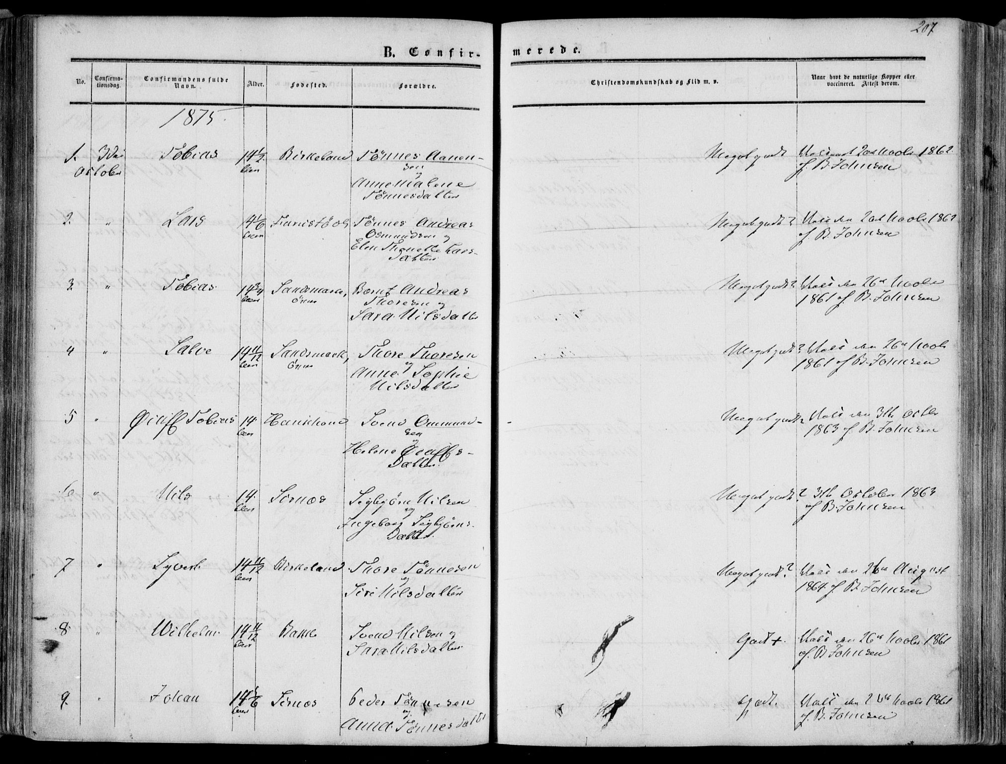 Bakke sokneprestkontor, SAK/1111-0002/F/Fa/Faa/L0006: Parish register (official) no. A 6, 1855-1877, p. 207