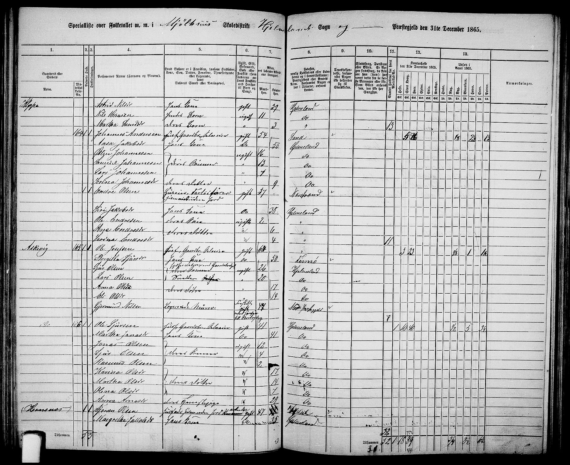 RA, 1865 census for Hjelmeland, 1865, p. 102