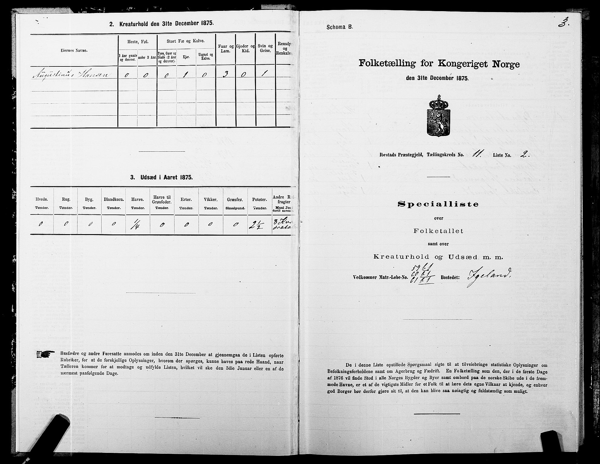 SATØ, 1875 census for 1917P Ibestad, 1875, p. 8003