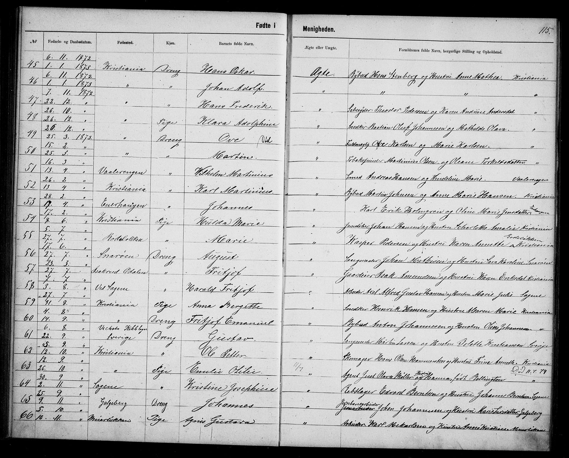 Første Metodistkirke Oslo -  menighetsprotokoller, AV/SAO-PAO-0067/F/L0003: Dissenter register no. 3, 1872-1877, p. 115