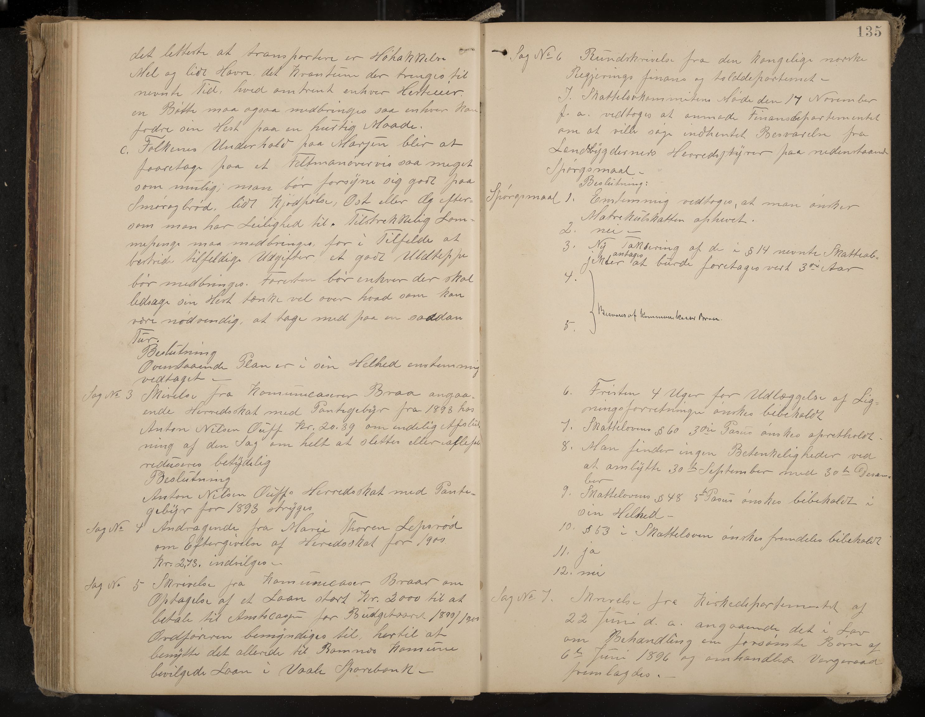 Ramnes formannskap og sentraladministrasjon, IKAK/0718021/A/Aa/L0004: Møtebok, 1892-1907, p. 135