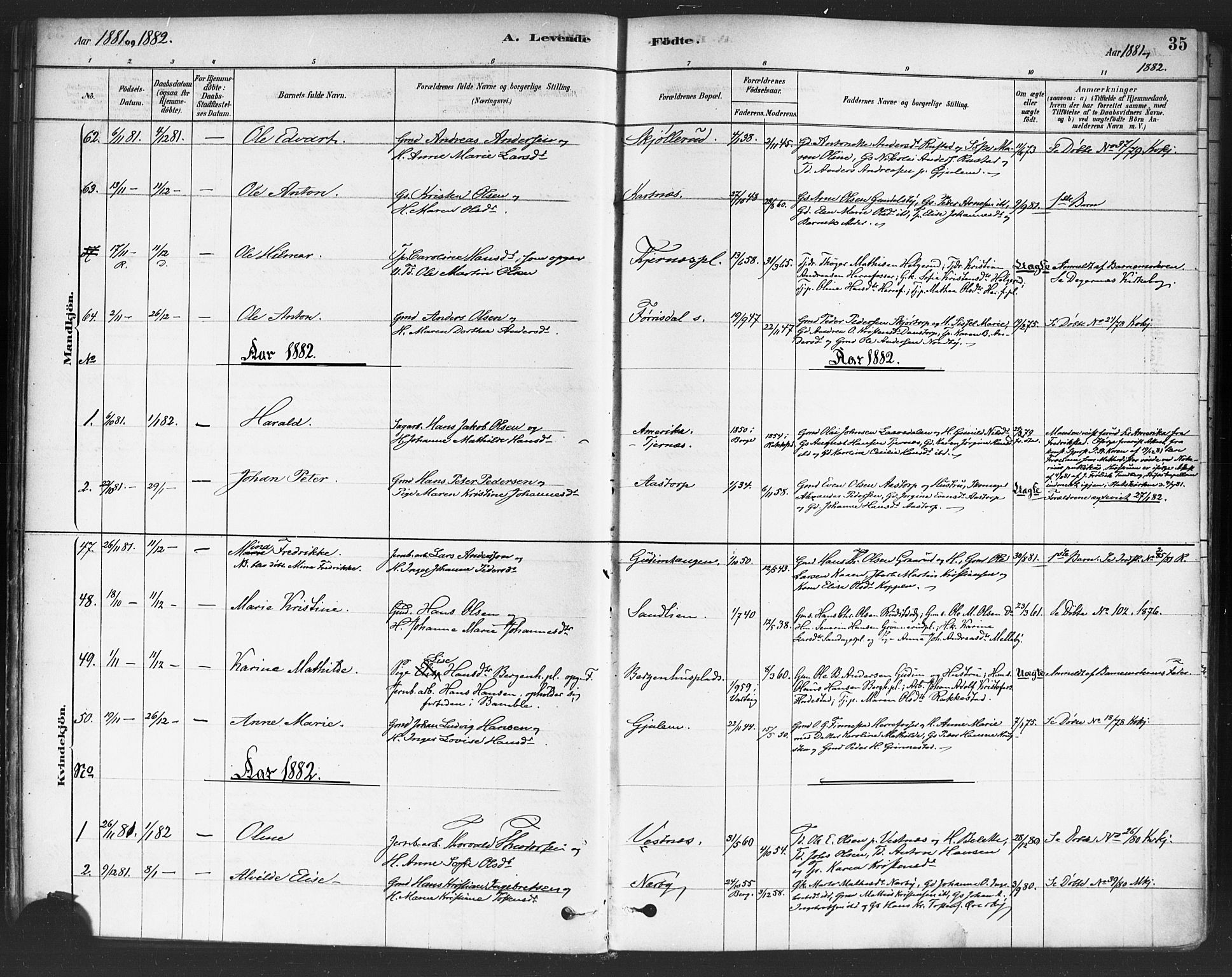 Rakkestad prestekontor Kirkebøker, AV/SAO-A-2008/F/Fa/L0012: Parish register (official) no. I 12, 1878-1893, p. 35