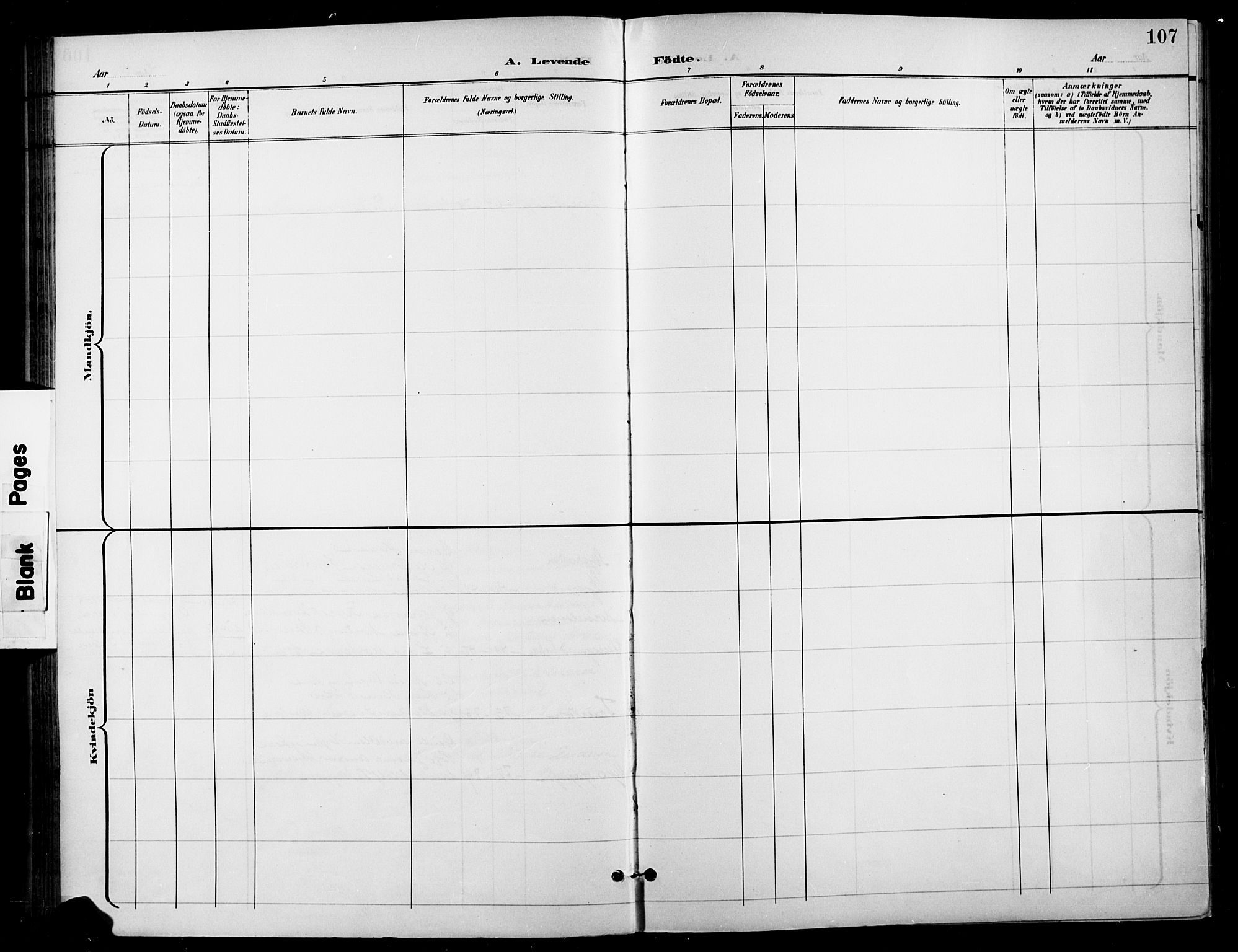 Gran prestekontor, SAH/PREST-112/H/Ha/Haa/L0019: Parish register (official) no. 19, 1898-1907, p. 107