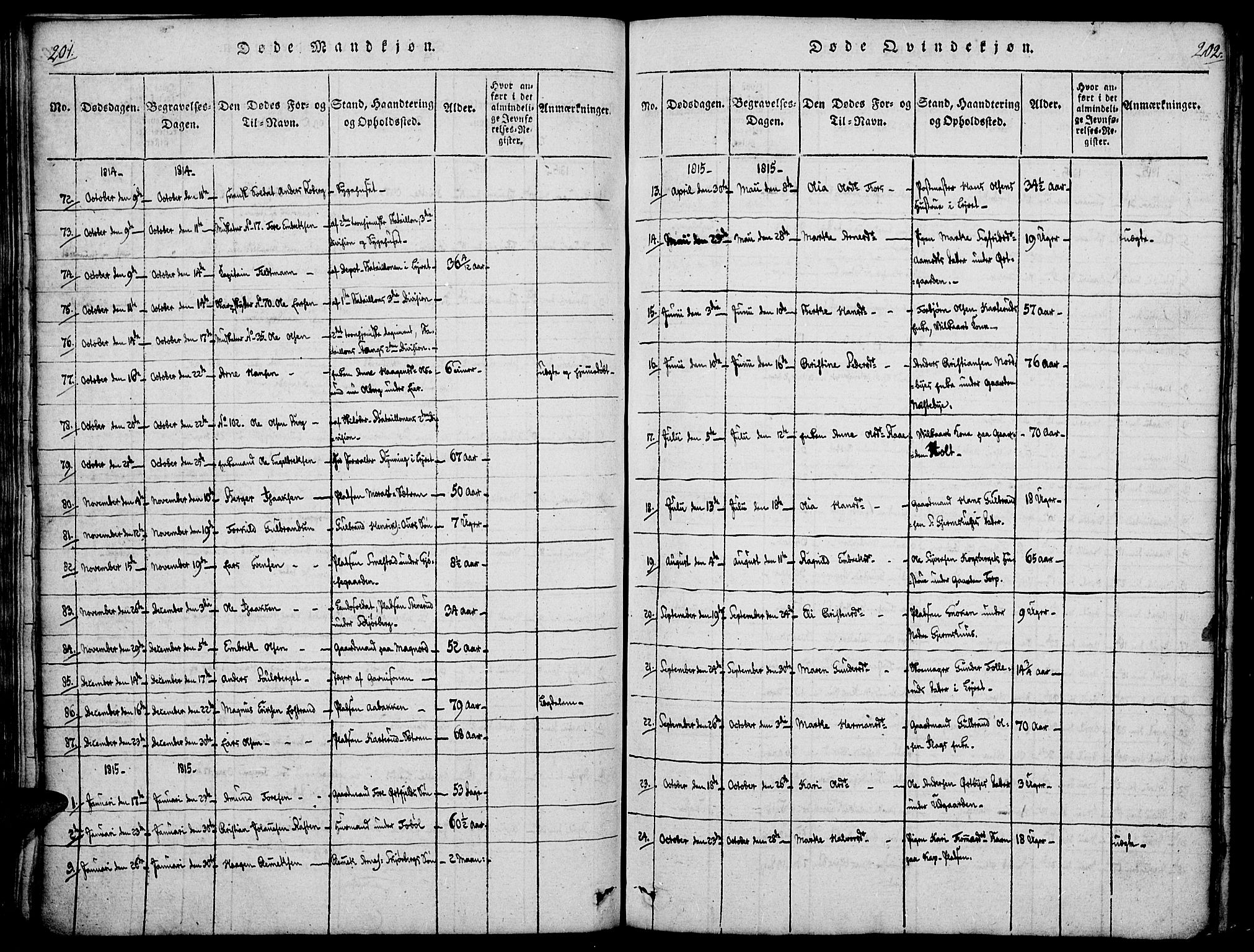 Vinger prestekontor, AV/SAH-PREST-024/H/Ha/Haa/L0006: Parish register (official) no. 6, 1814-1825, p. 201-202