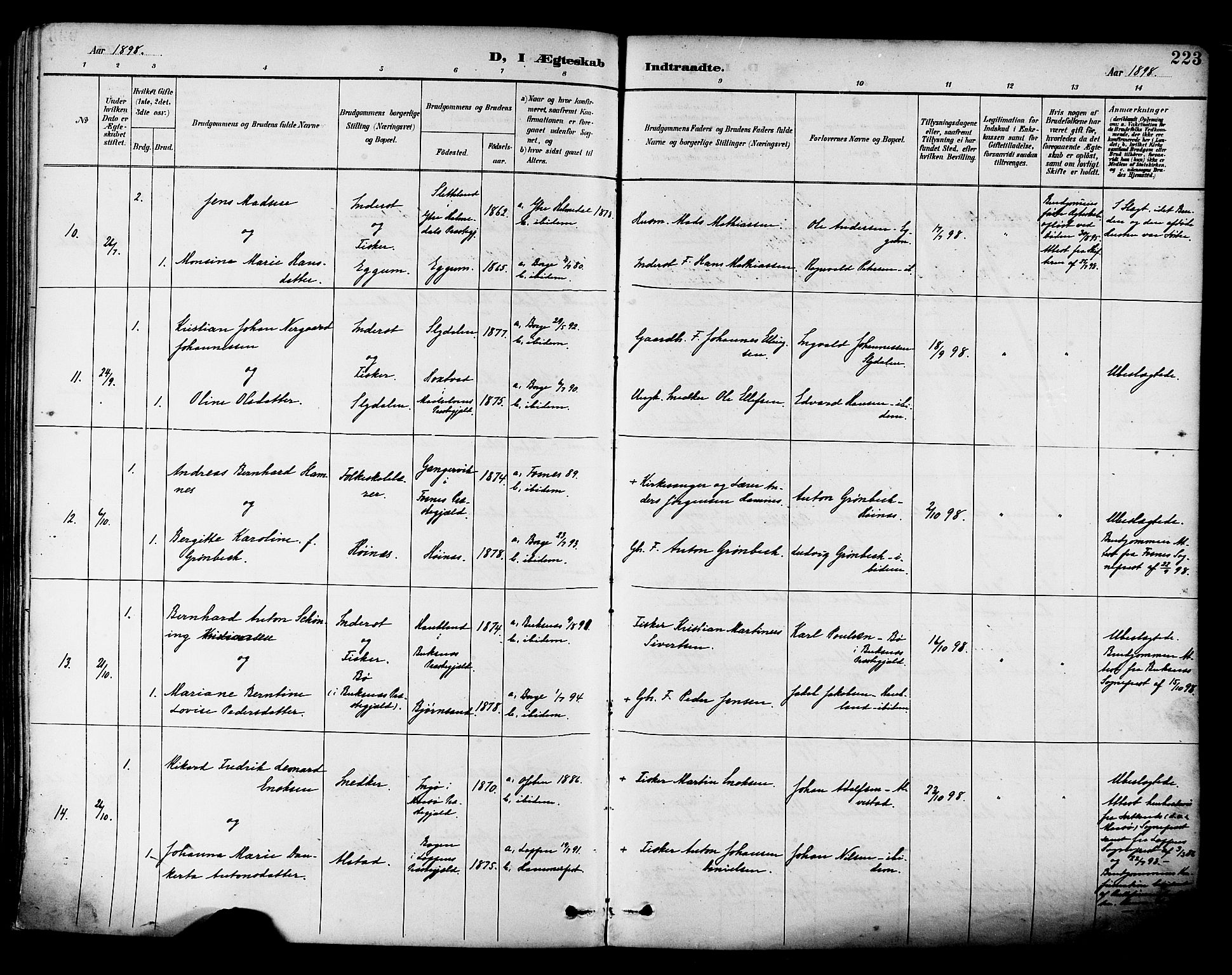 Ministerialprotokoller, klokkerbøker og fødselsregistre - Nordland, AV/SAT-A-1459/880/L1133: Parish register (official) no. 880A07, 1888-1898, p. 223