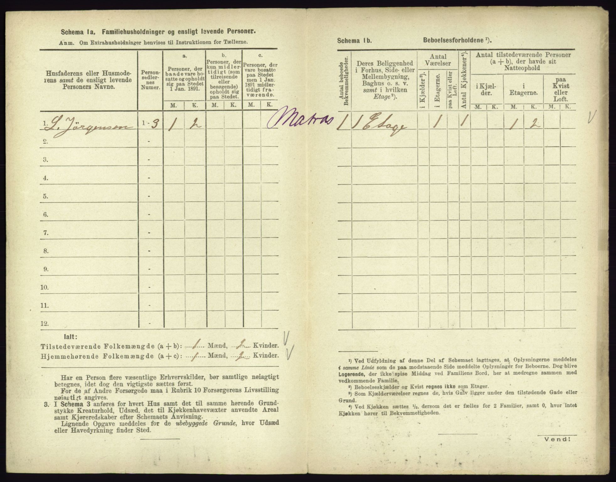 RA, 1891 census for 0701 Svelvik, 1891, p. 235