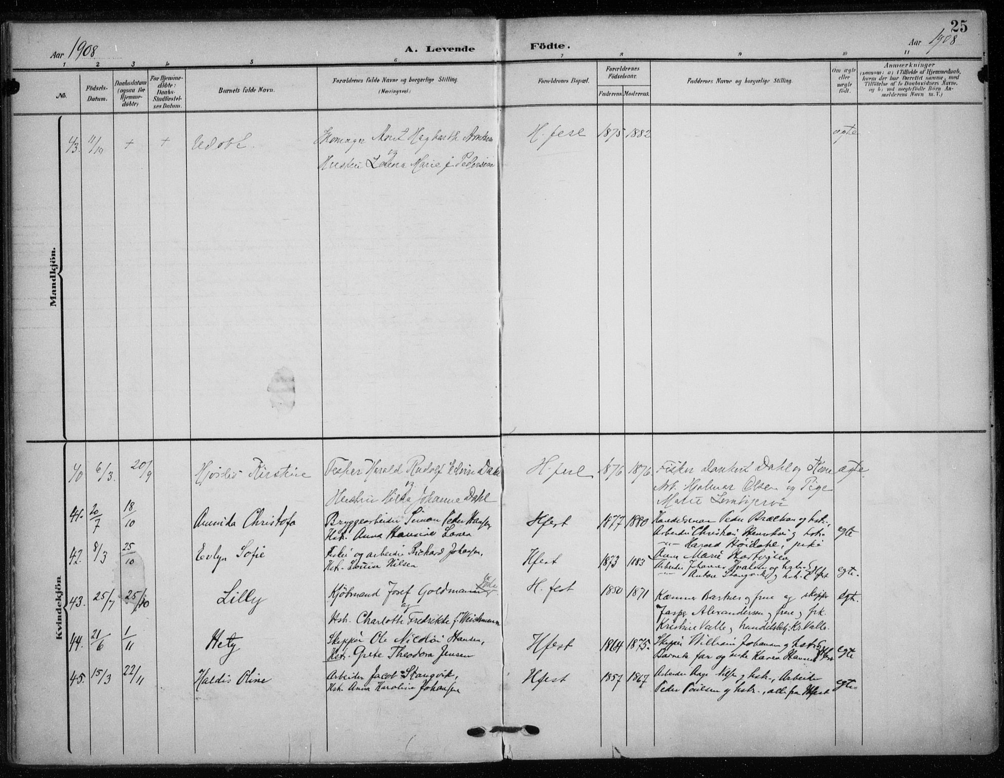 Hammerfest sokneprestkontor, SATØ/S-1347/H/Ha/L0014.kirke: Parish register (official) no. 14, 1906-1916, p. 25