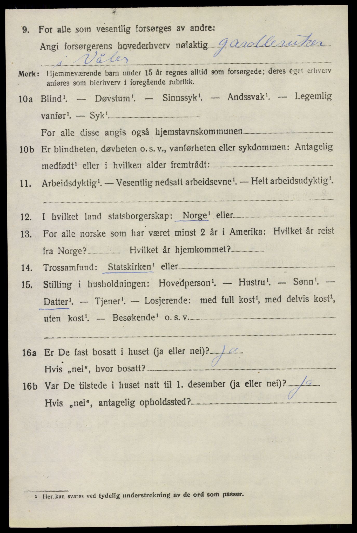 SAO, 1920 census for Våler, 1920, p. 1377