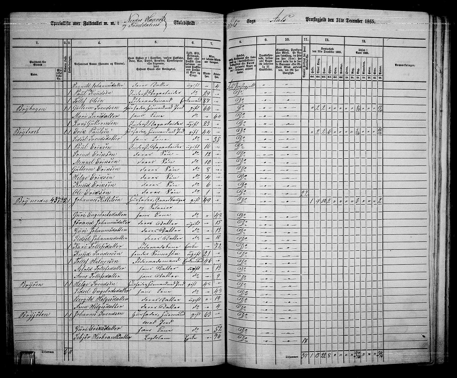 RA, 1865 census for Ål, 1865, p. 214